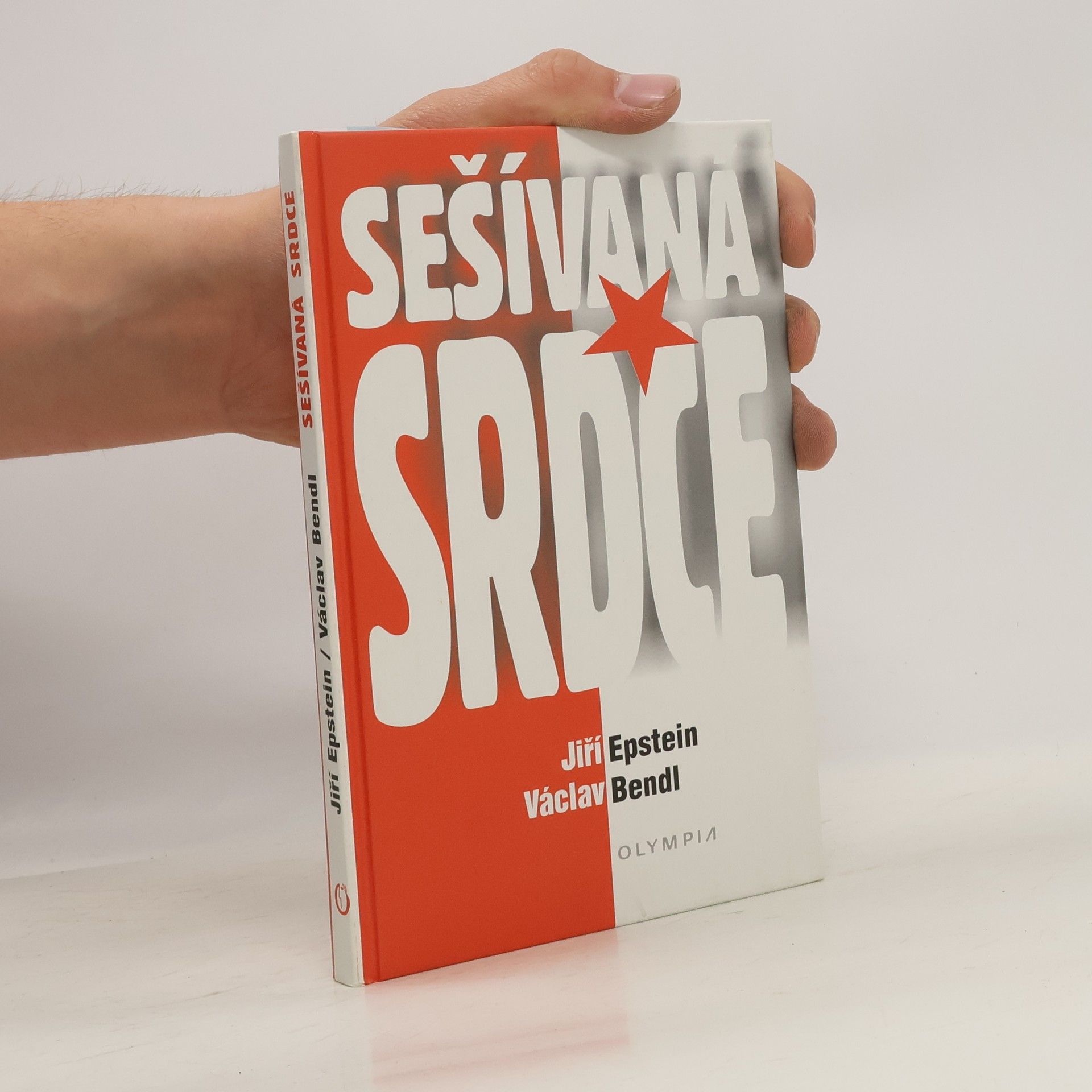 Jiří Epstein Sešívaná srdce aneb Průvodce fotbalovým zákulisím