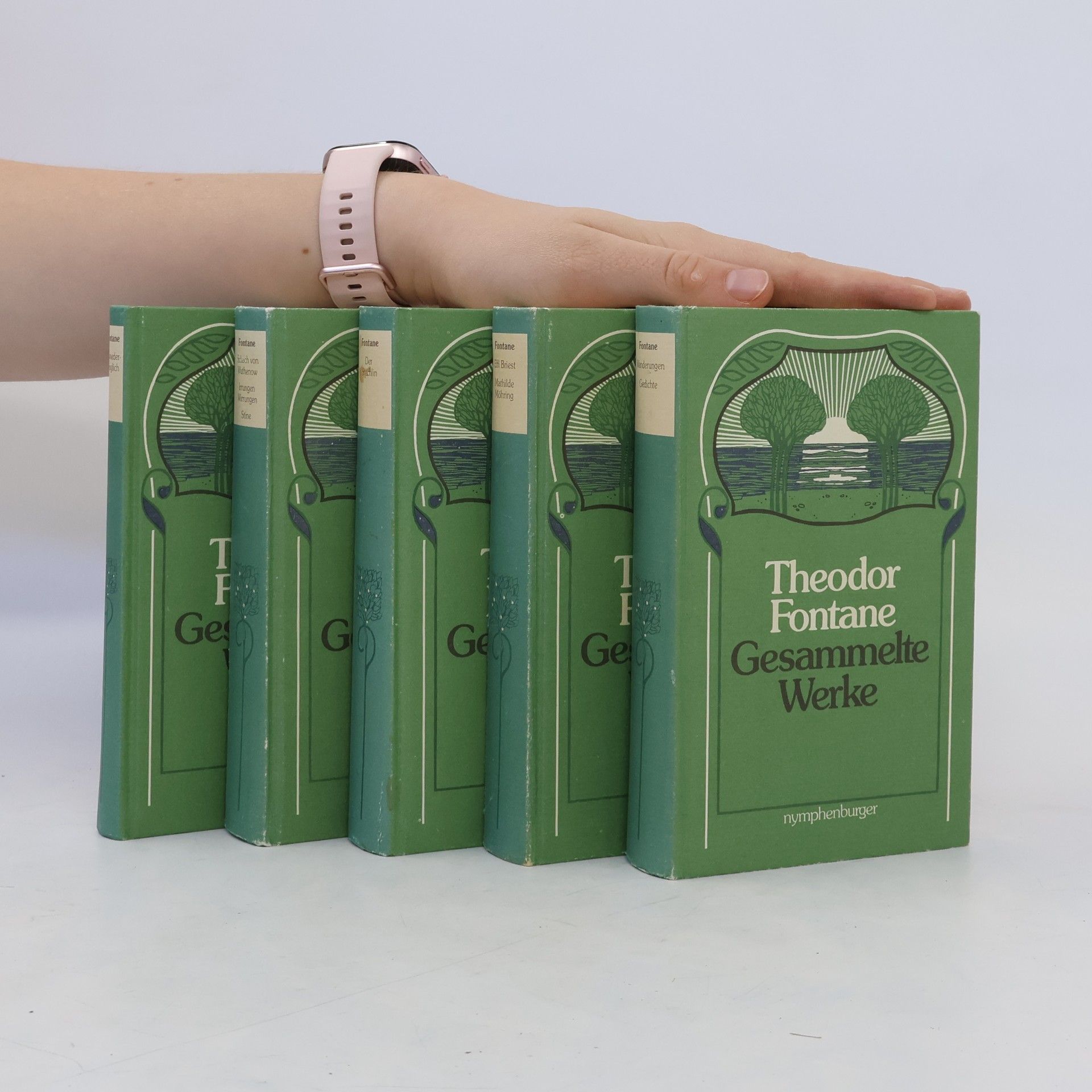 Theodor Fontane Gesammelte Werke 1-5