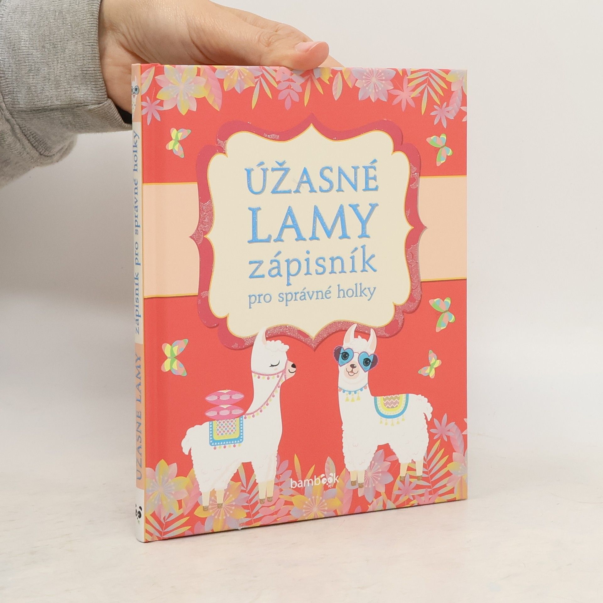 Collectif d'auteurs Úžasné lamy - Zápisník pro správné holky