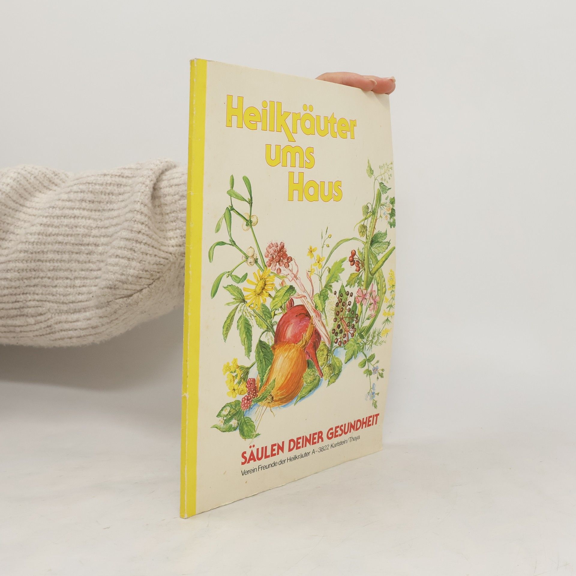 Autores varios Heilkräuter ums Haus : Säulen deiner Gesundheit