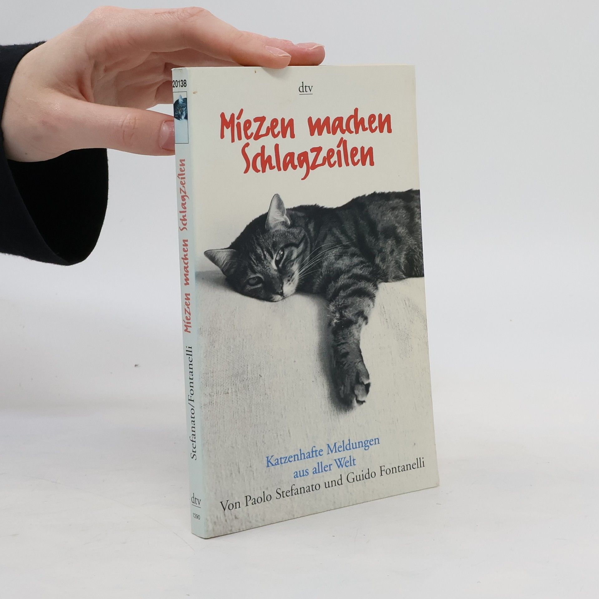 Auteurscollectief Miezen machen Schlagzeilen