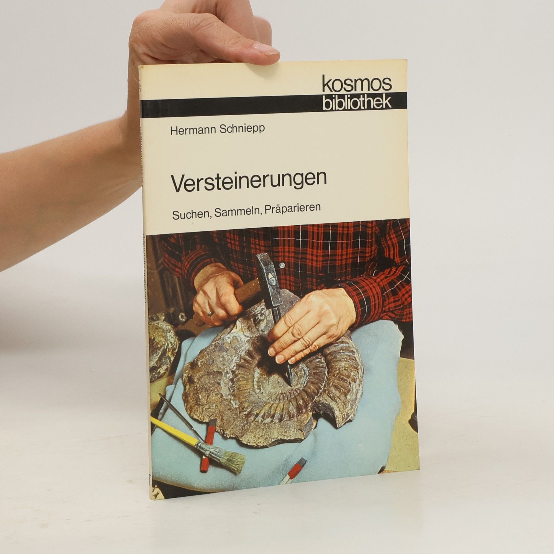 Hermann Schniepp Versteinerungen