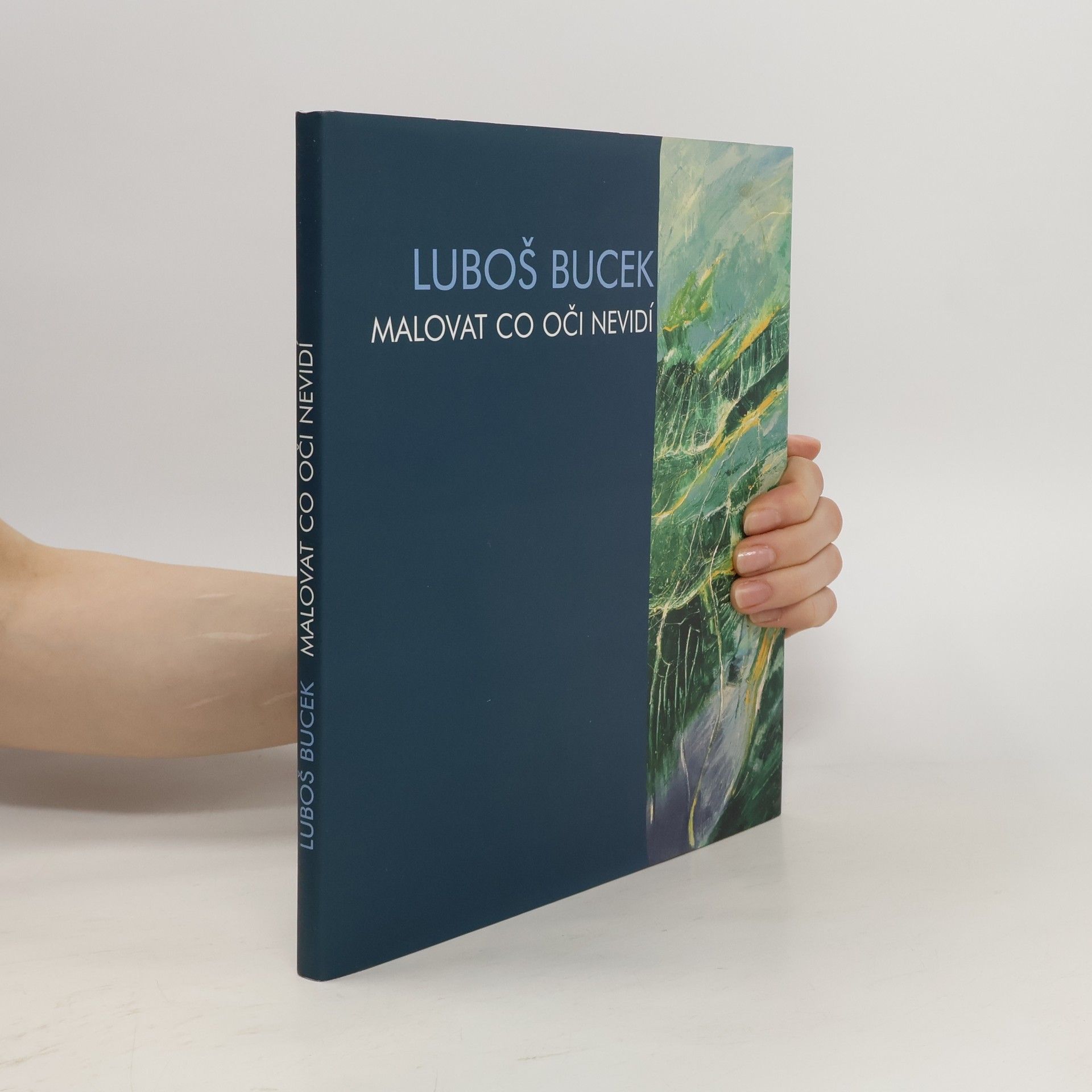 Luboš Bucek Malovat co oči nevidí