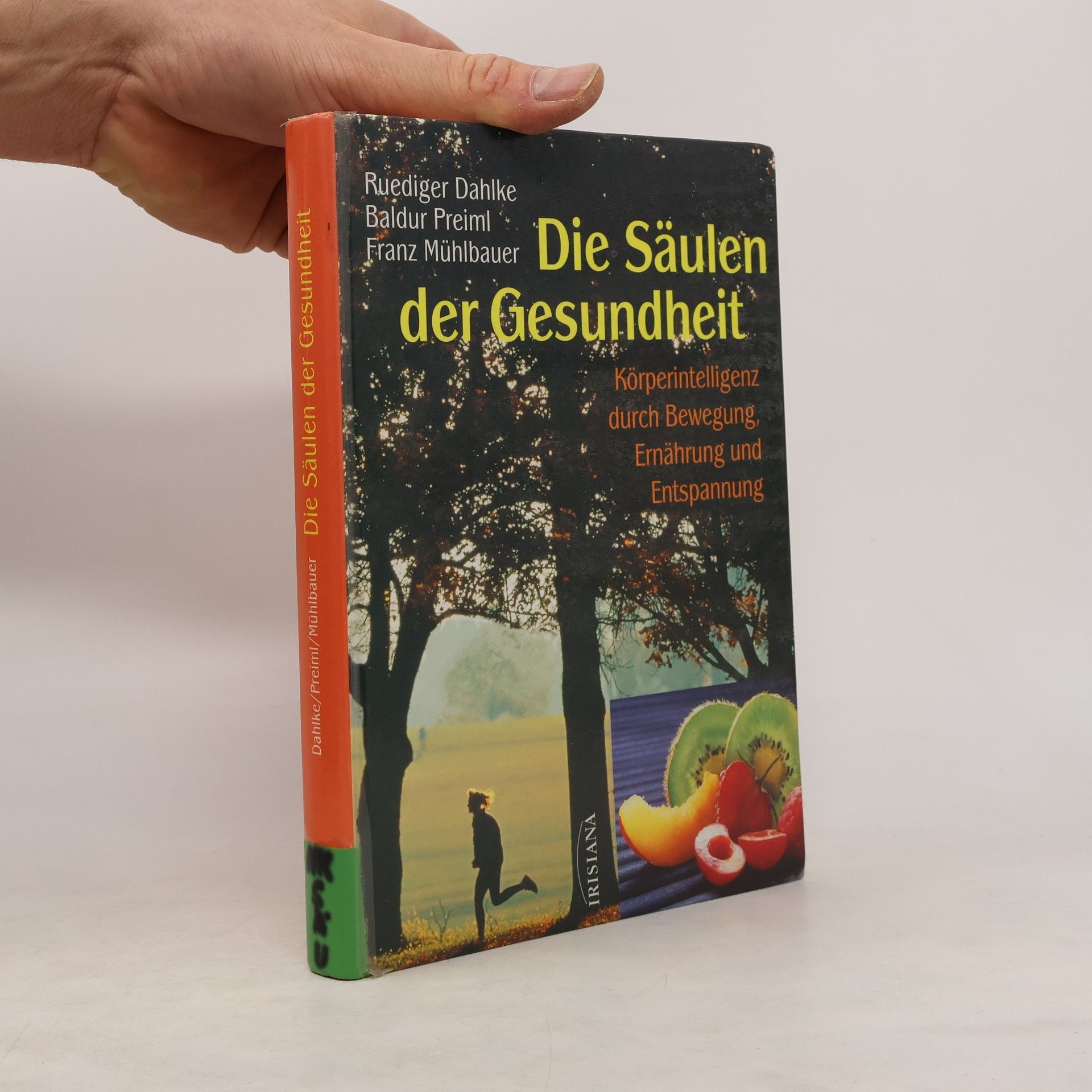 Ruediger Dahlke Die Säulen der Gesundheit