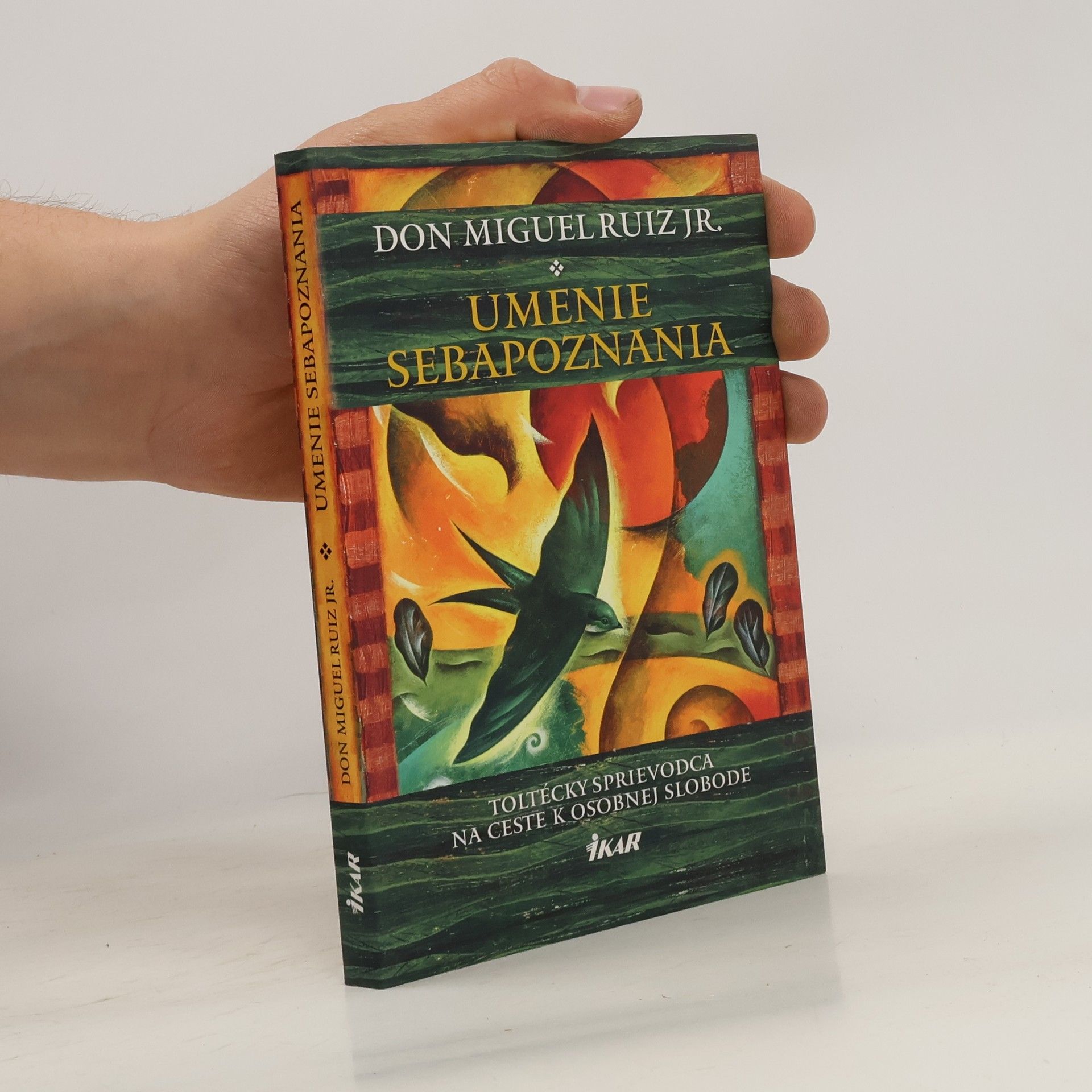 Don Miguel Ruiz Umenie sebapoznania