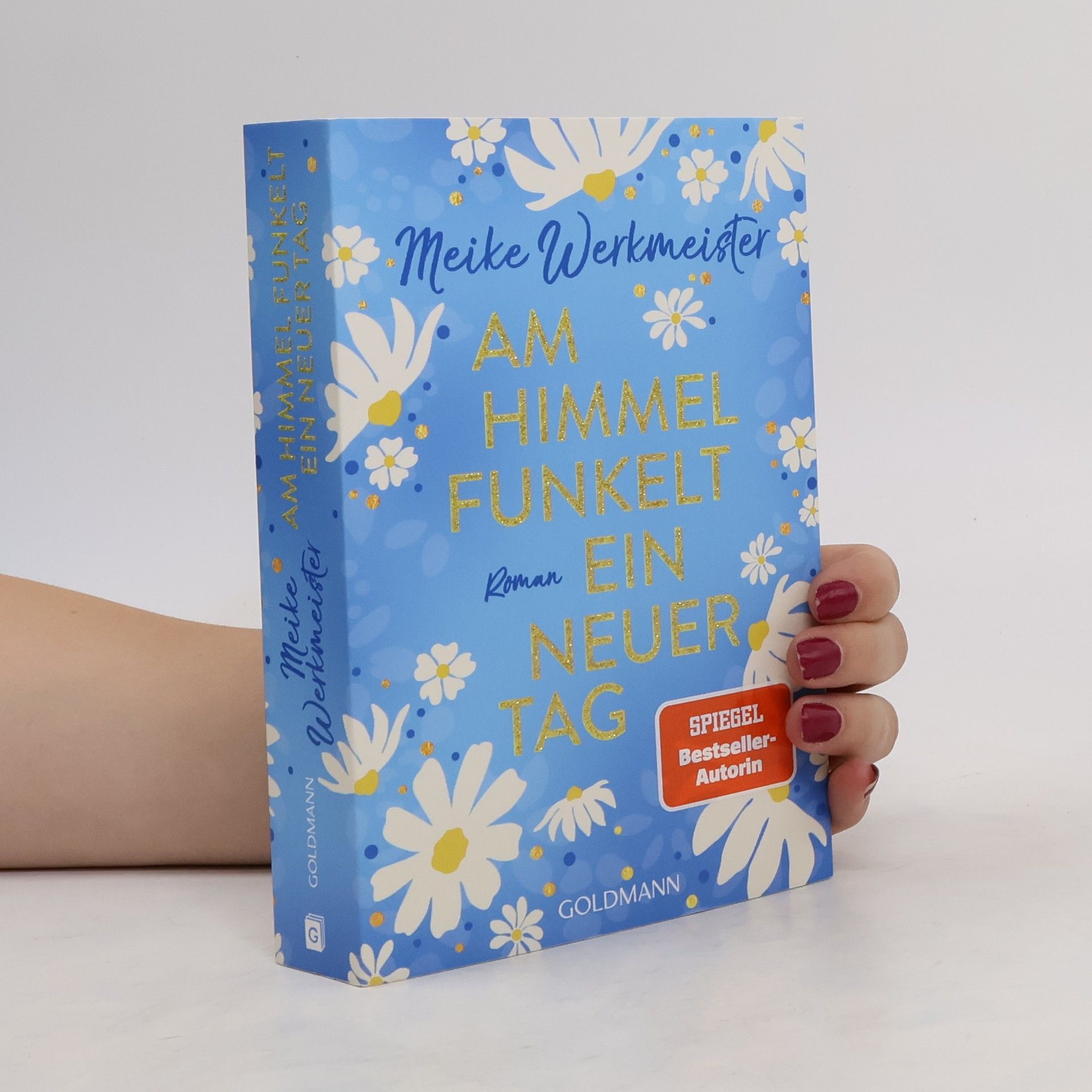 Meike Werkmeister Am Himmel funkelt ein neuer Tag