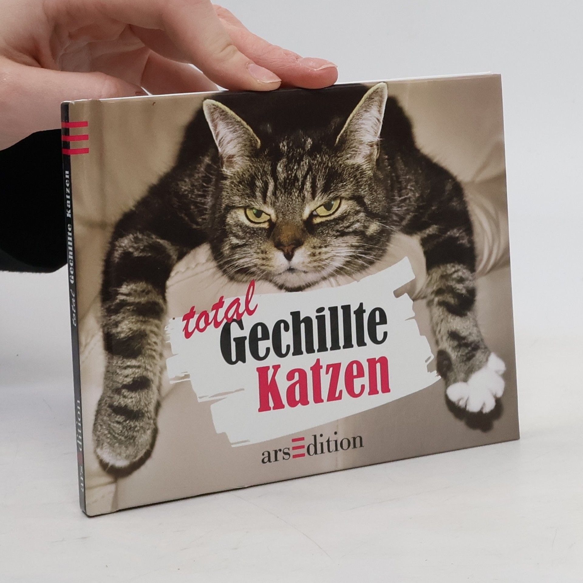 Paulus Vennebusch Total gechillte Katzen