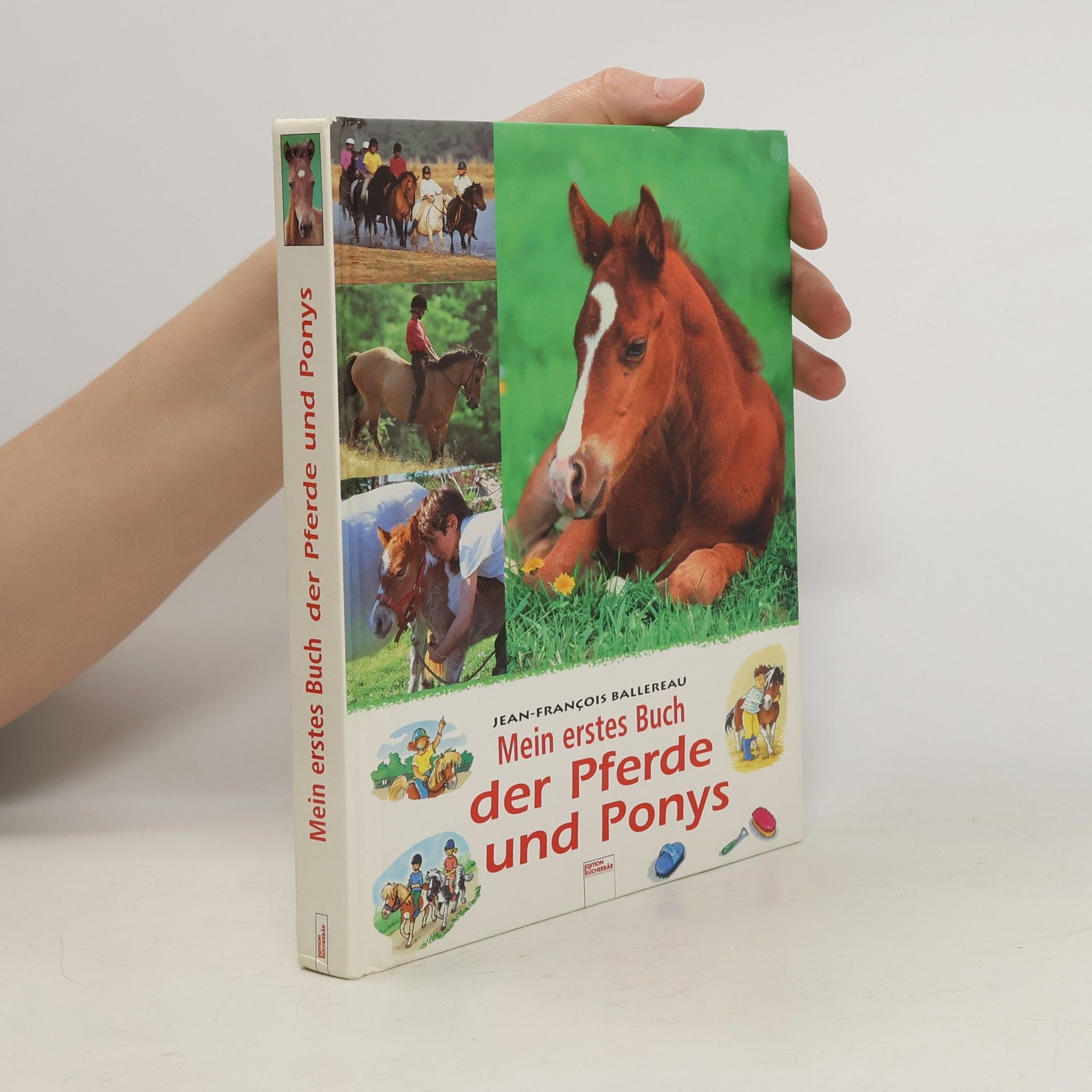 Jean Franc ois Ballereau Mein erstes Buch der Pferde und Ponys