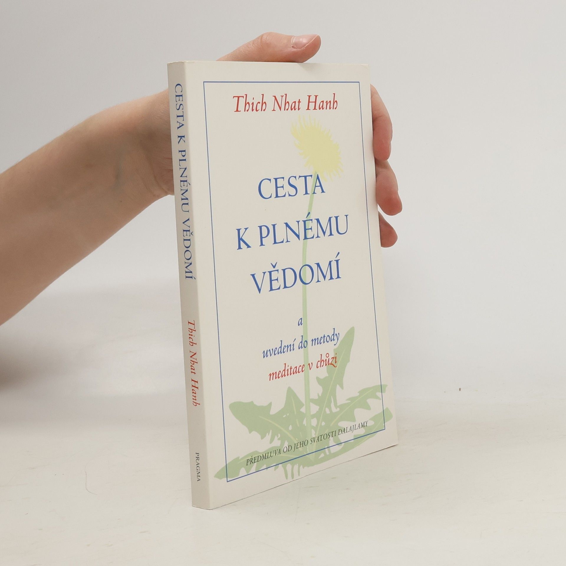 Otto Jeřábek Cesta k plnému vědomí a uvedení do metody meditace v chůzi
