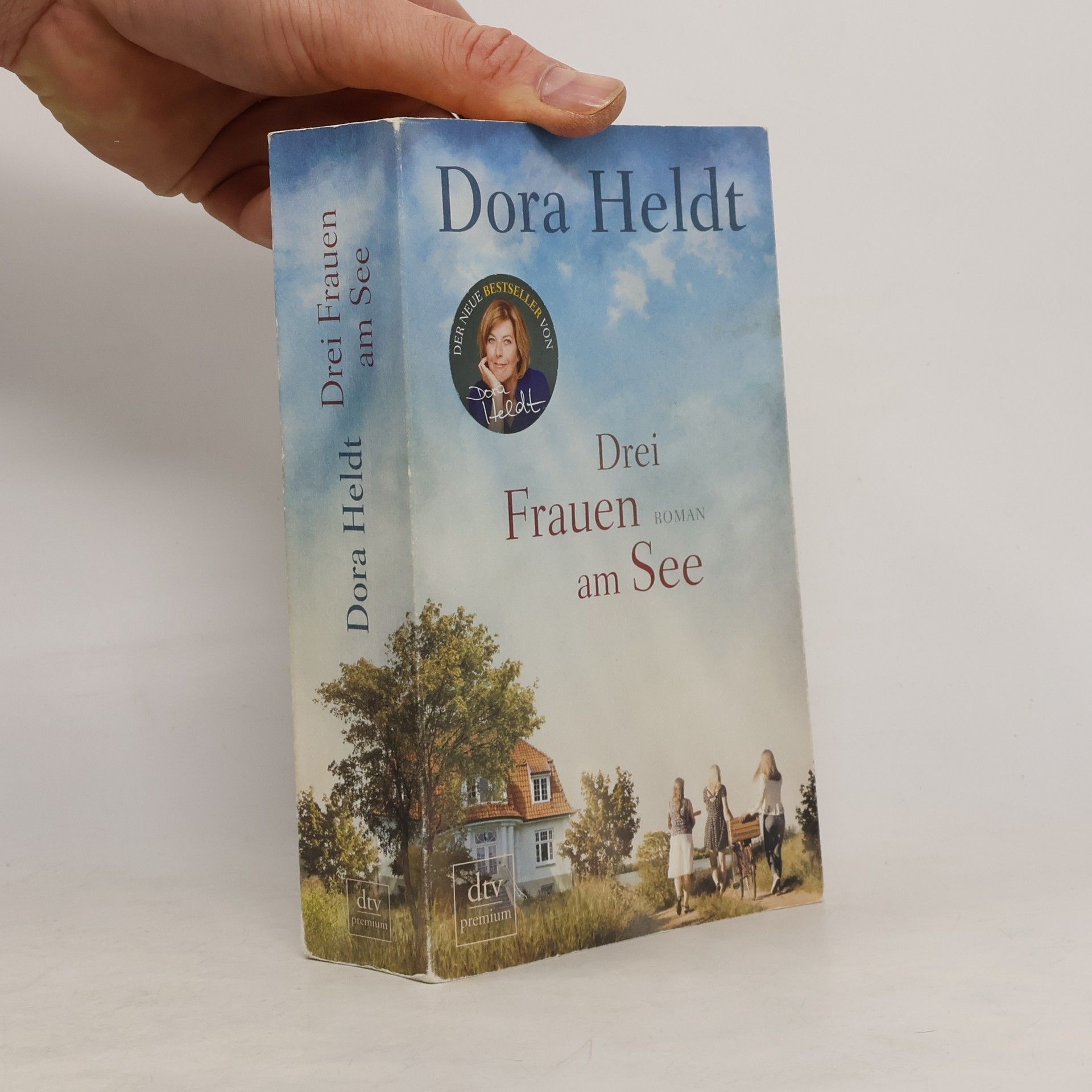 Dora Heldt Drei Frauen am See