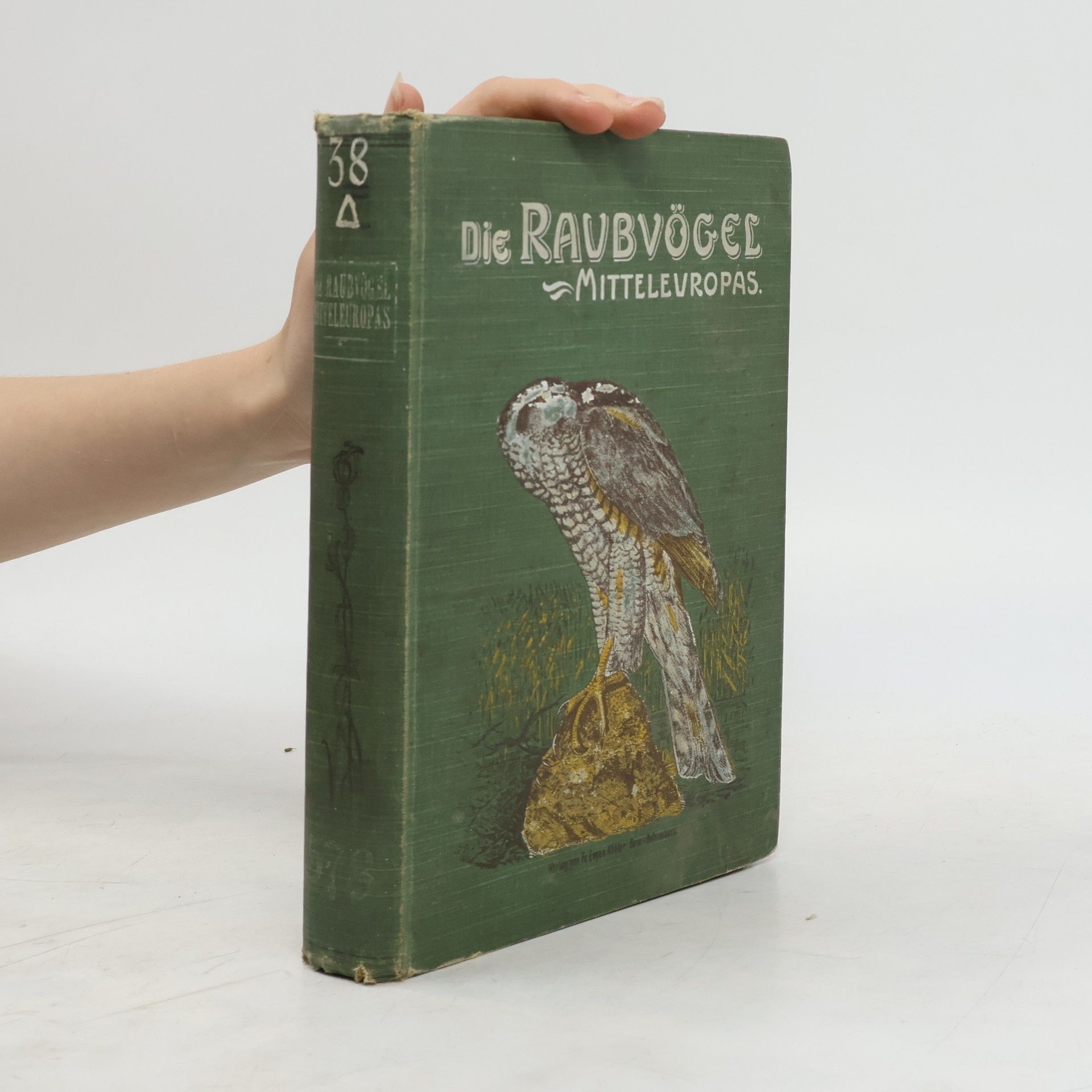 Autorenkollektiv Die Raubvögel Mitteleuropas