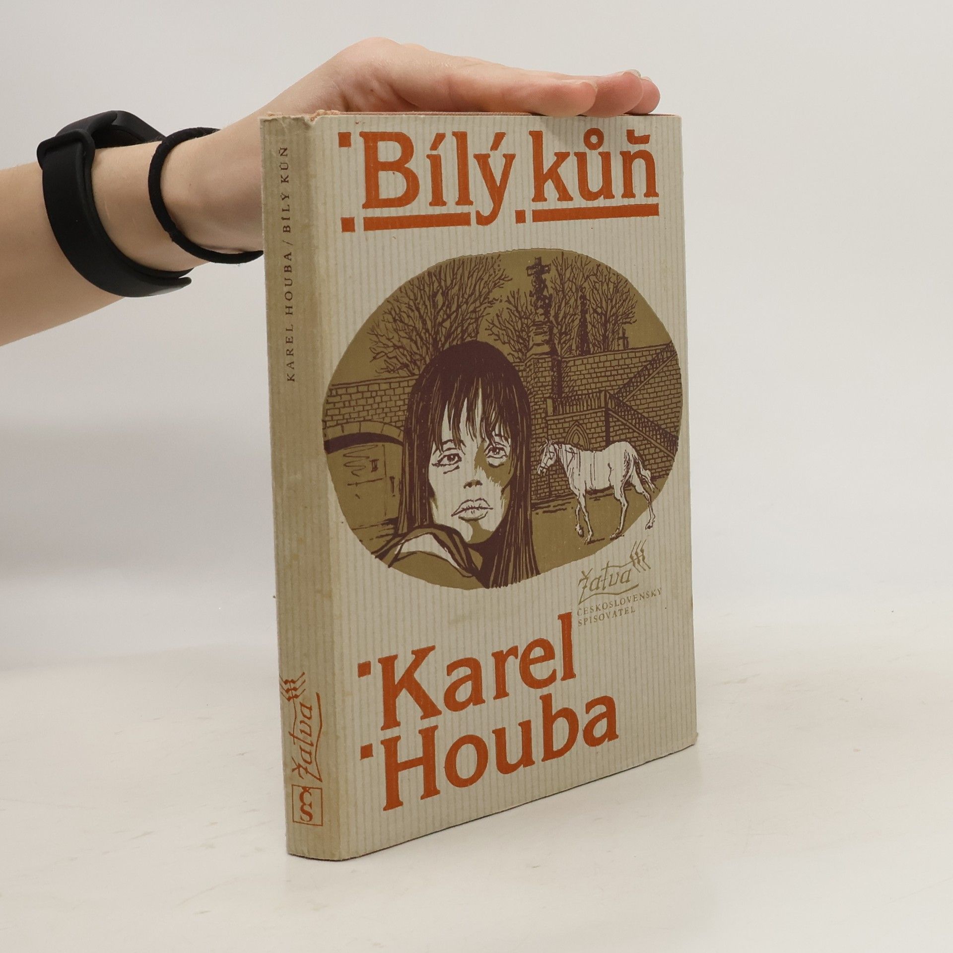 Karel Holub Bílý kůň