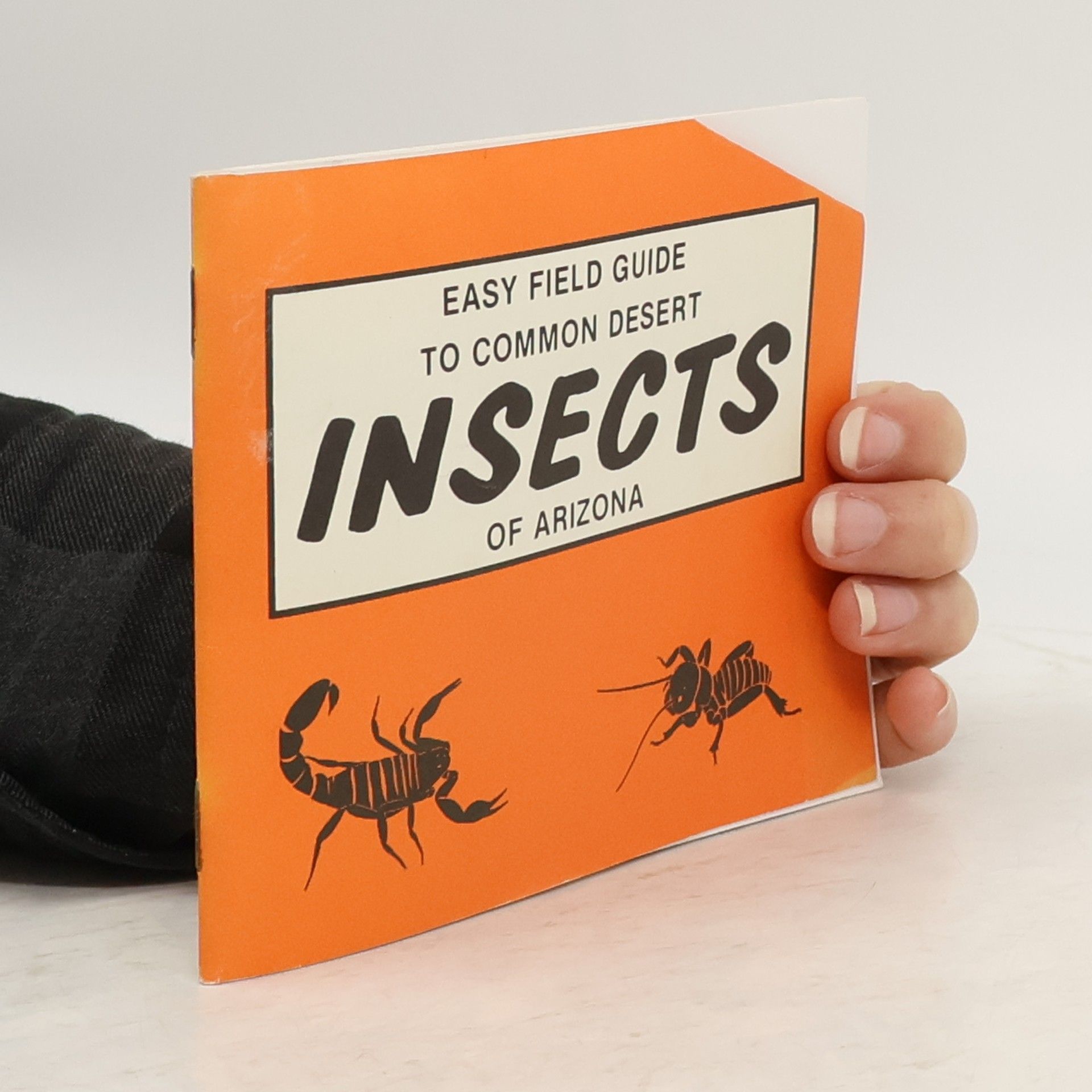 Dick Nelson Easy Field Guide to Common Desert Insects