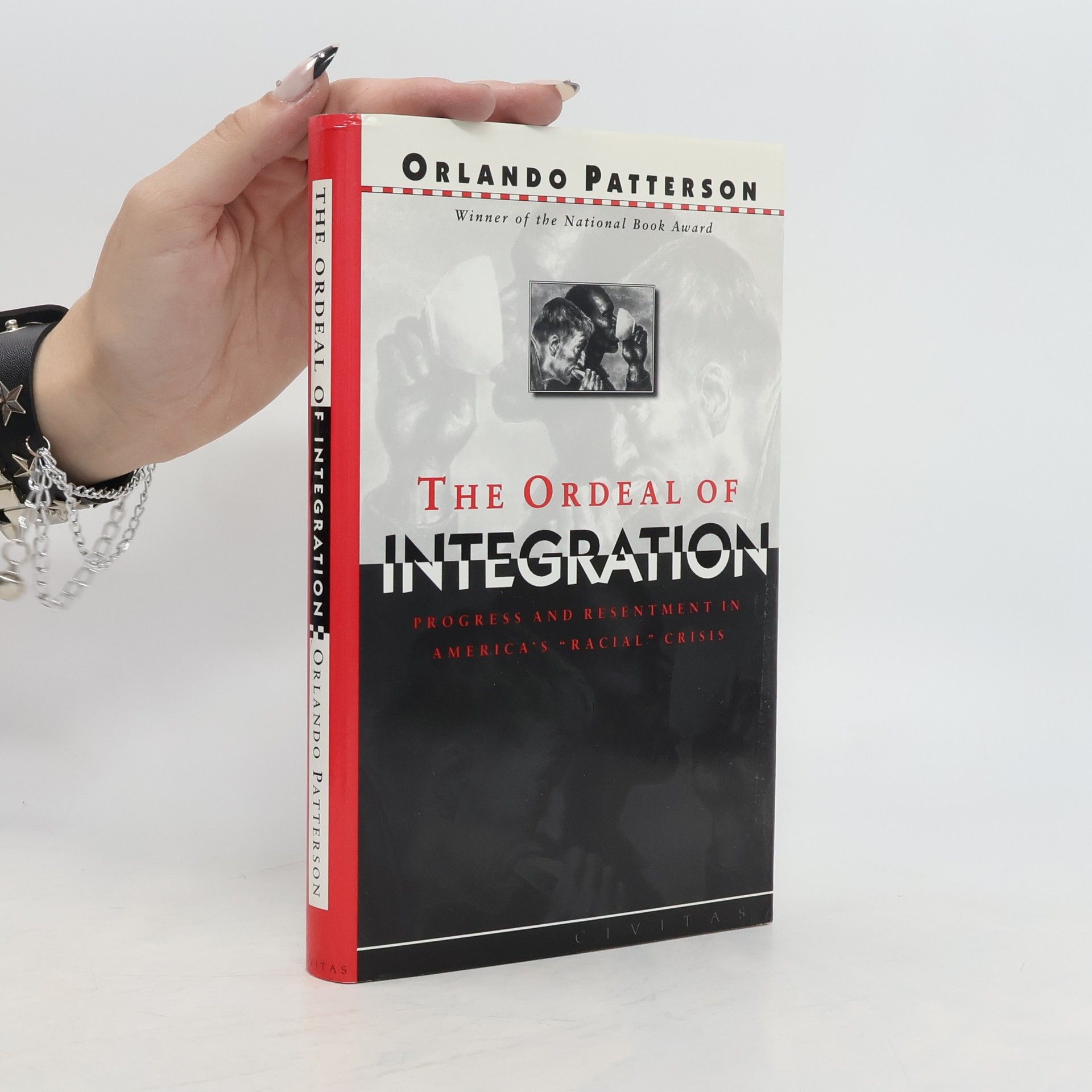 Orlando Patterson The Ordeal Of Integration