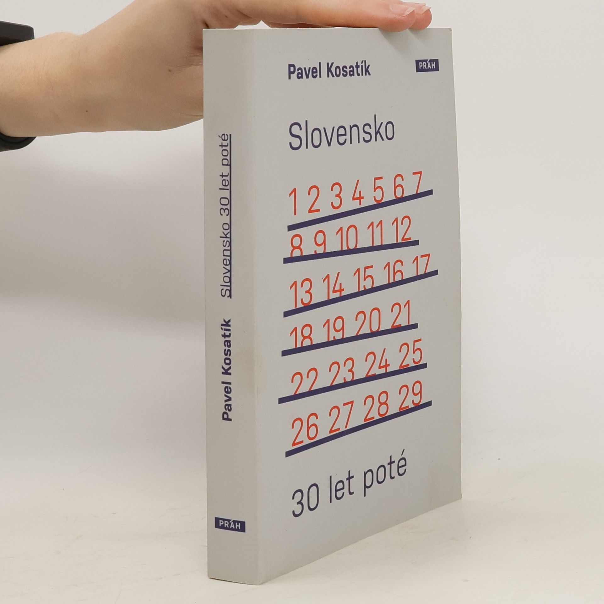 Pavel Kosatík Slovensko třicet let poté