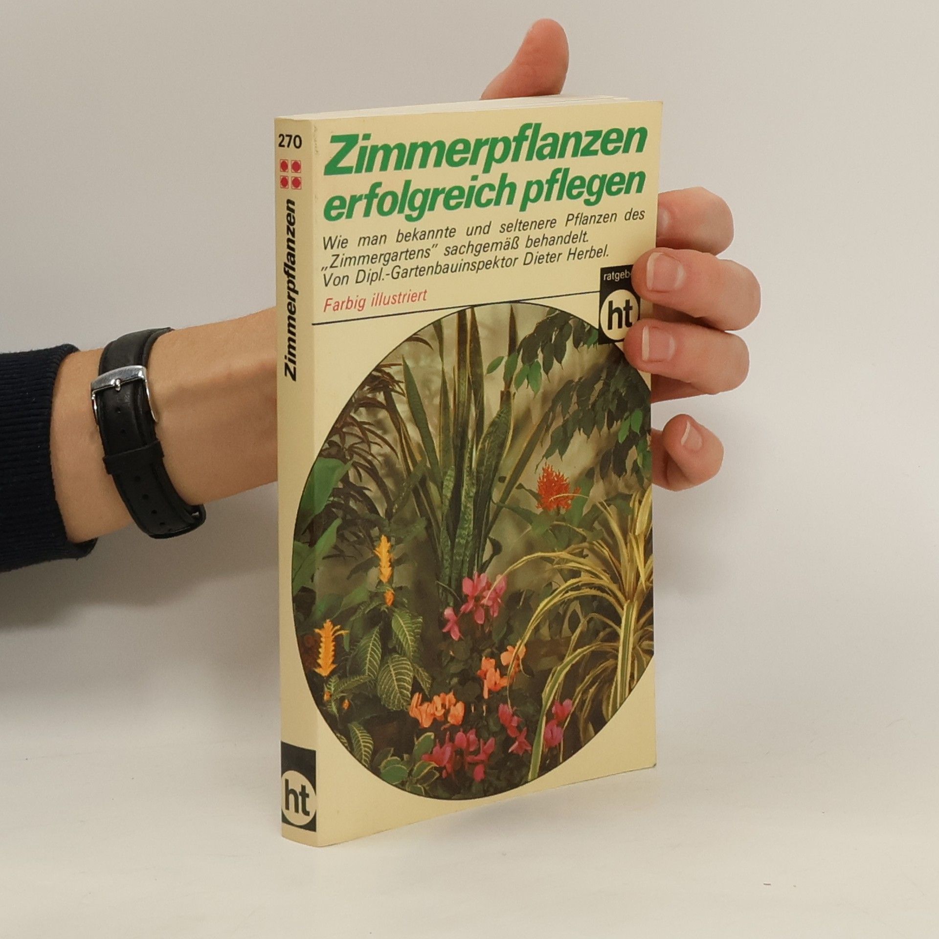 Dieter Herbel Zimmerpflanzen erfolgreich pflegen