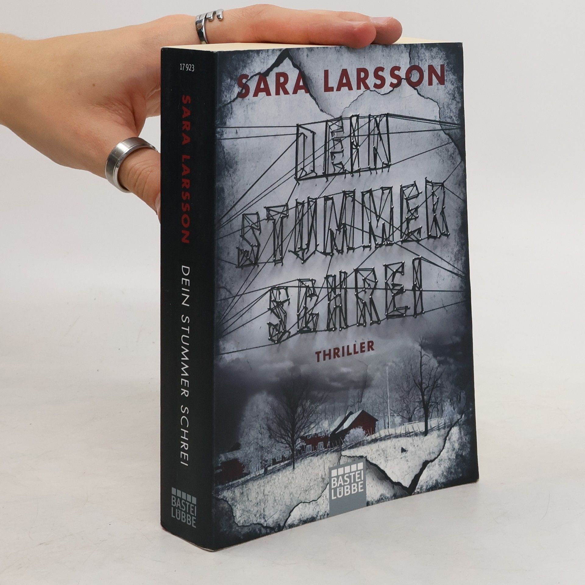 Sara Larsson Dein stummer Schrei