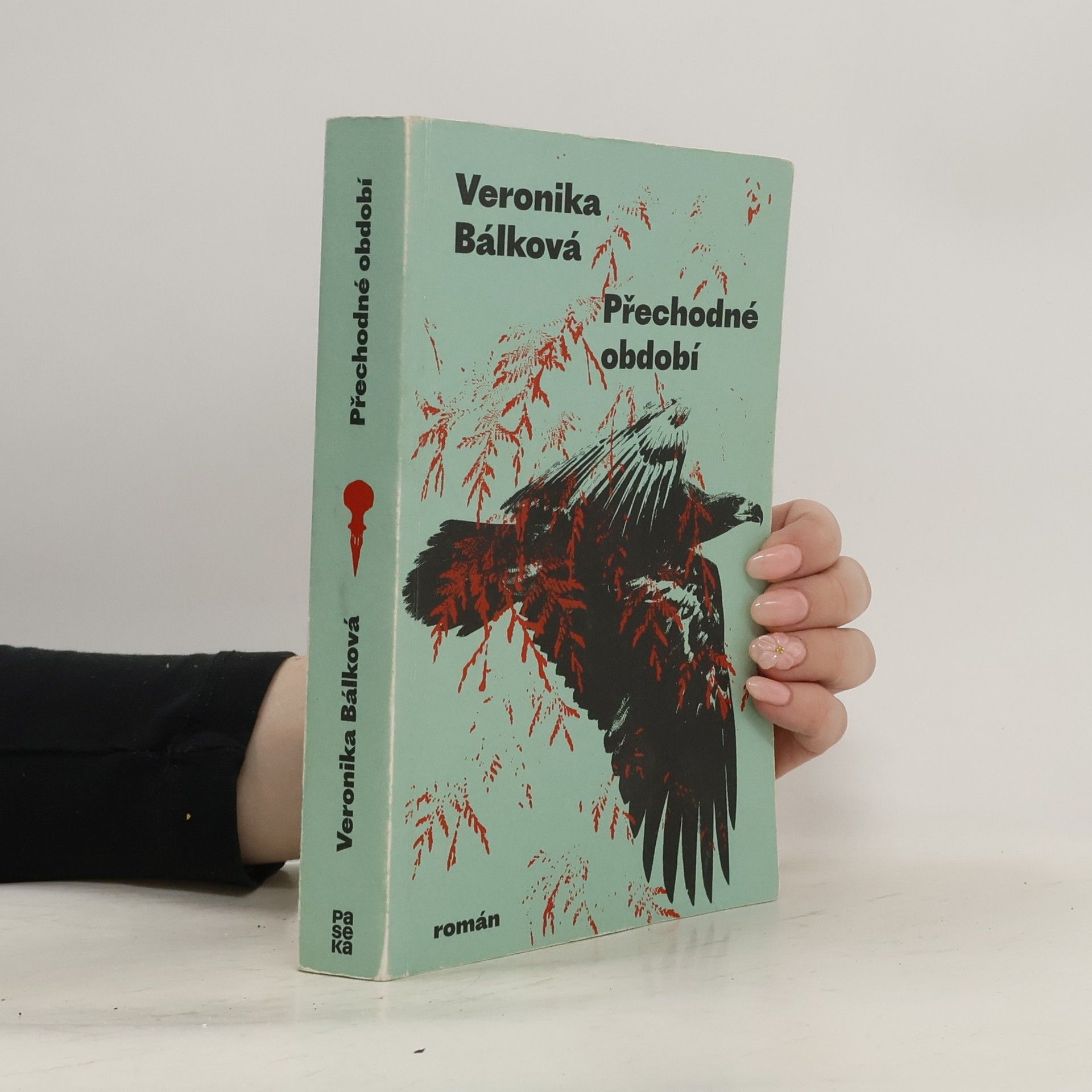 Veronika Bálková Přechodné období