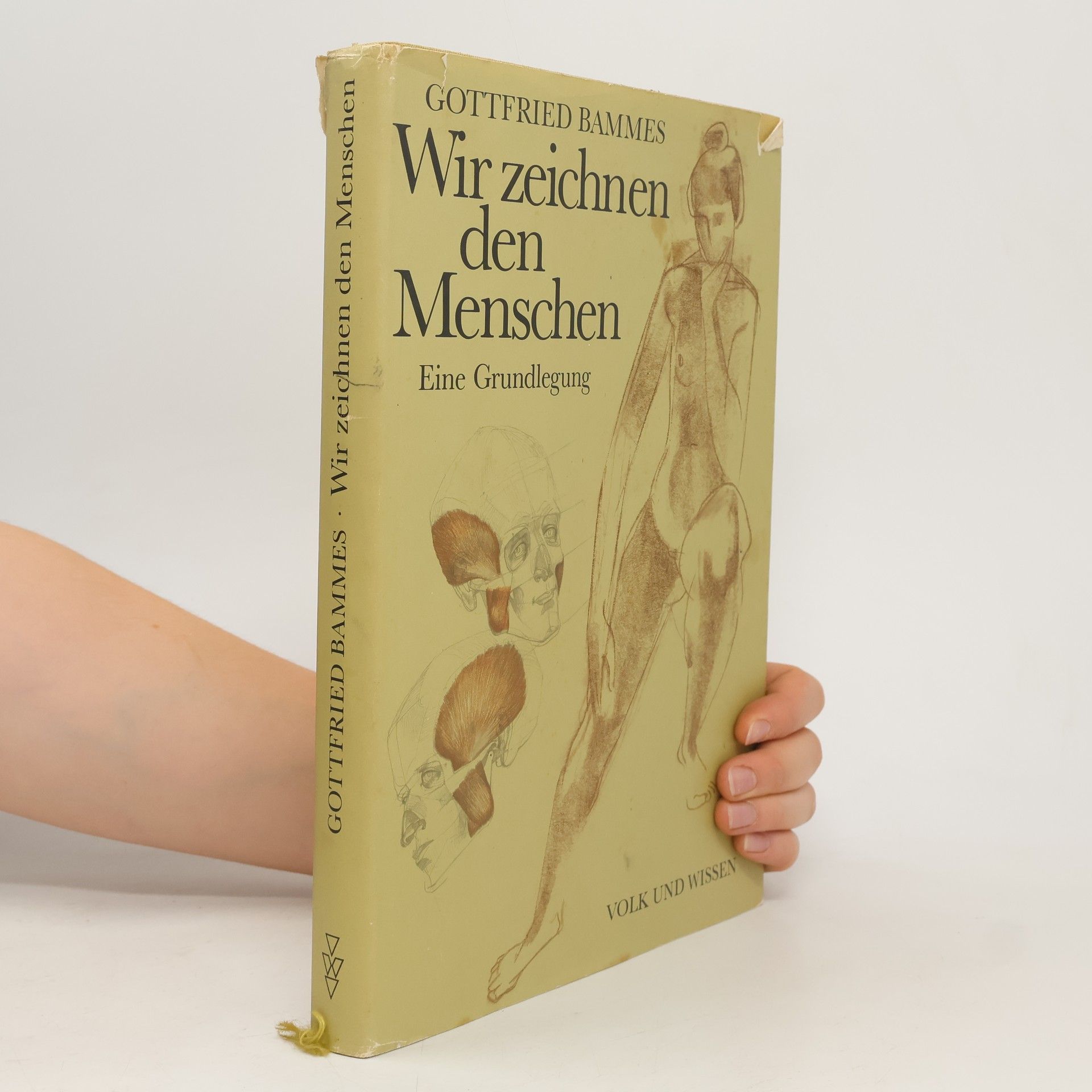 Gottfried Bammes Wir zeichnen den Menschen
