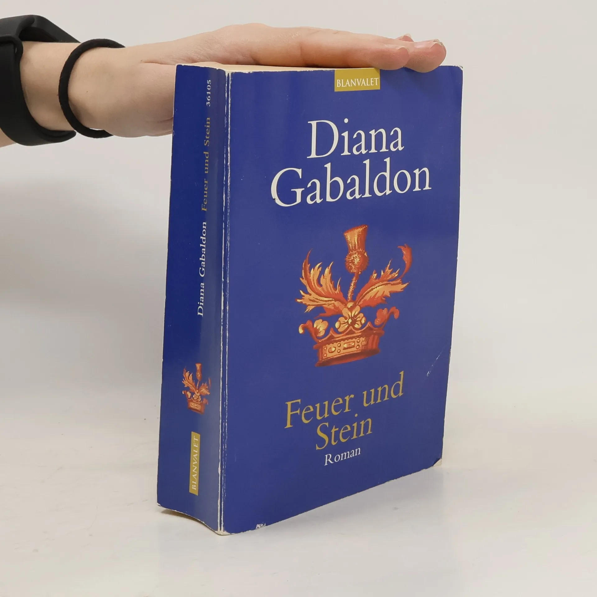Feuer und Stein | Buch | Diana Gabaldon