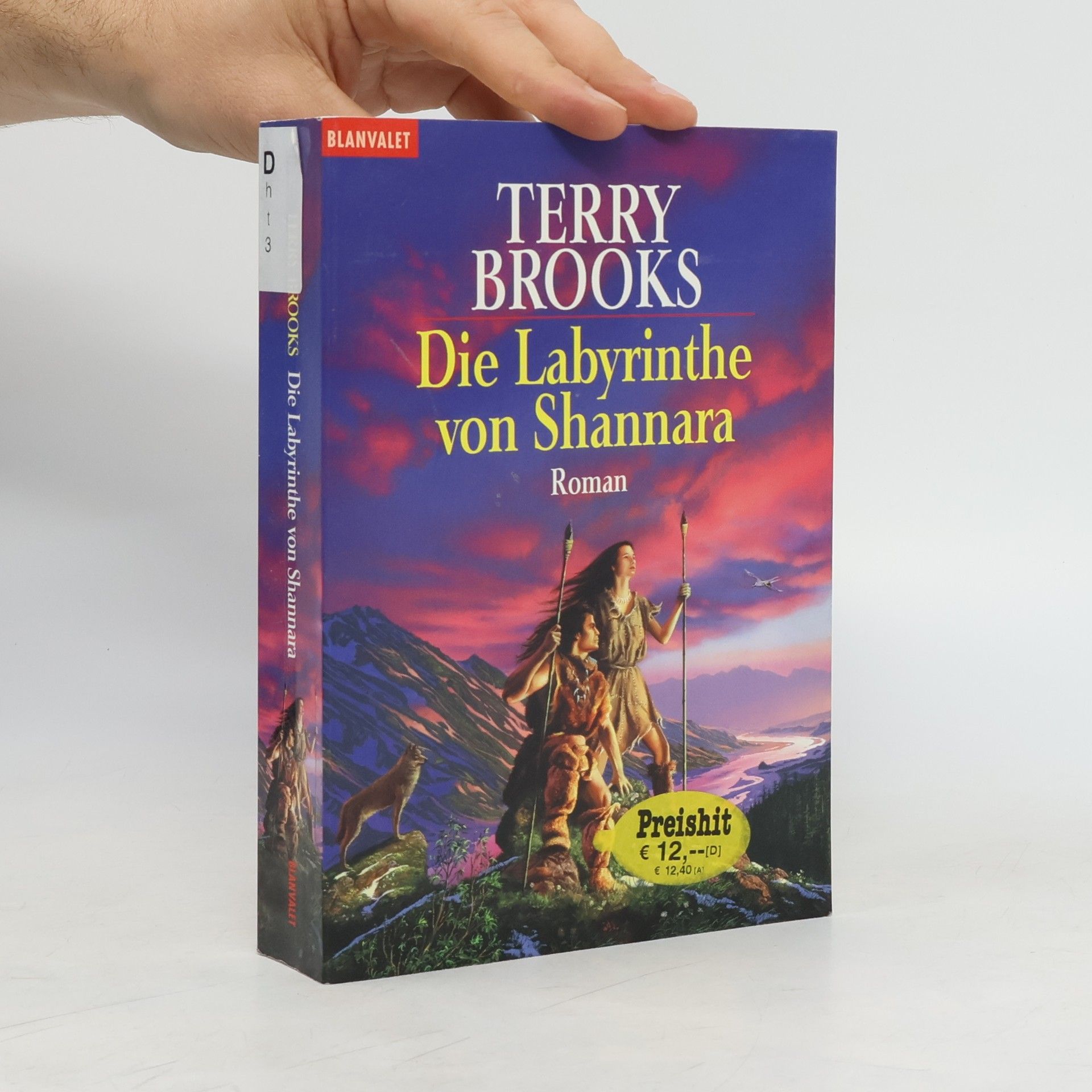 Terry Brooks Die Labyrinthe von Shannara