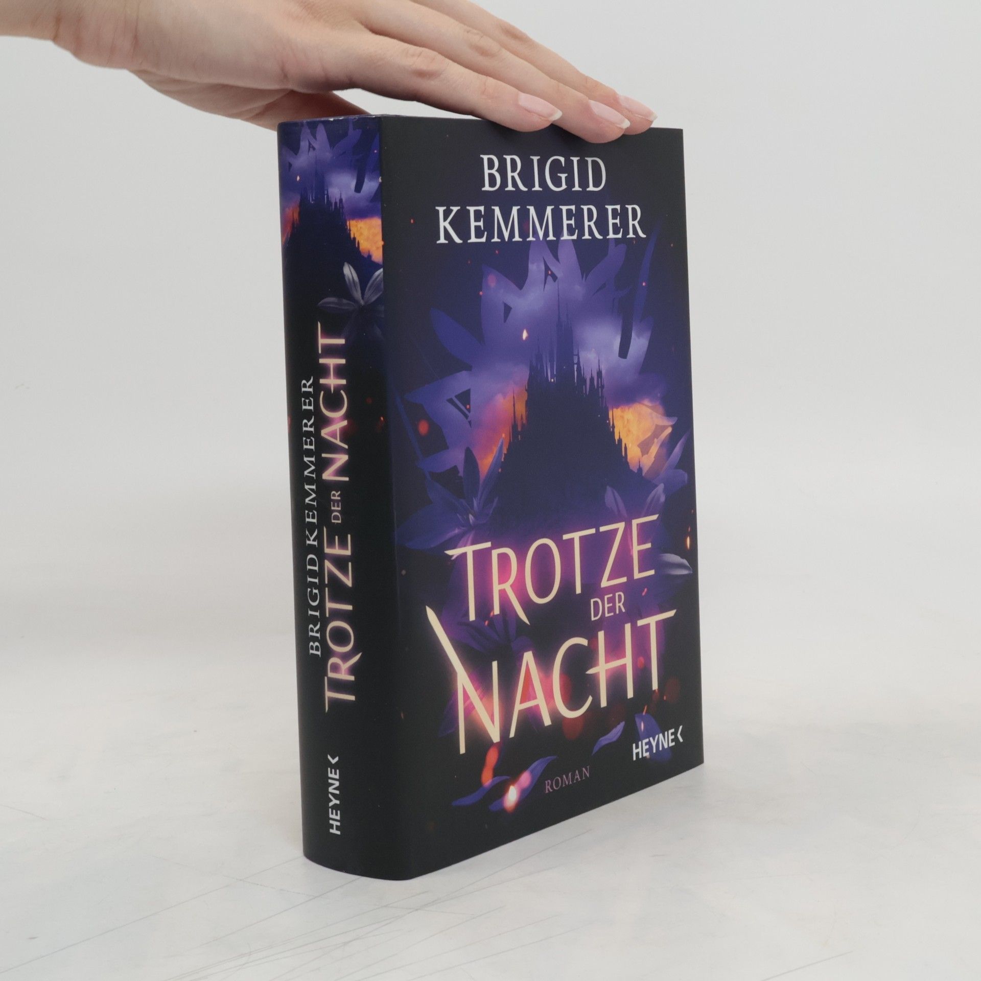 Brigid Kemmerer Trotze der Nacht