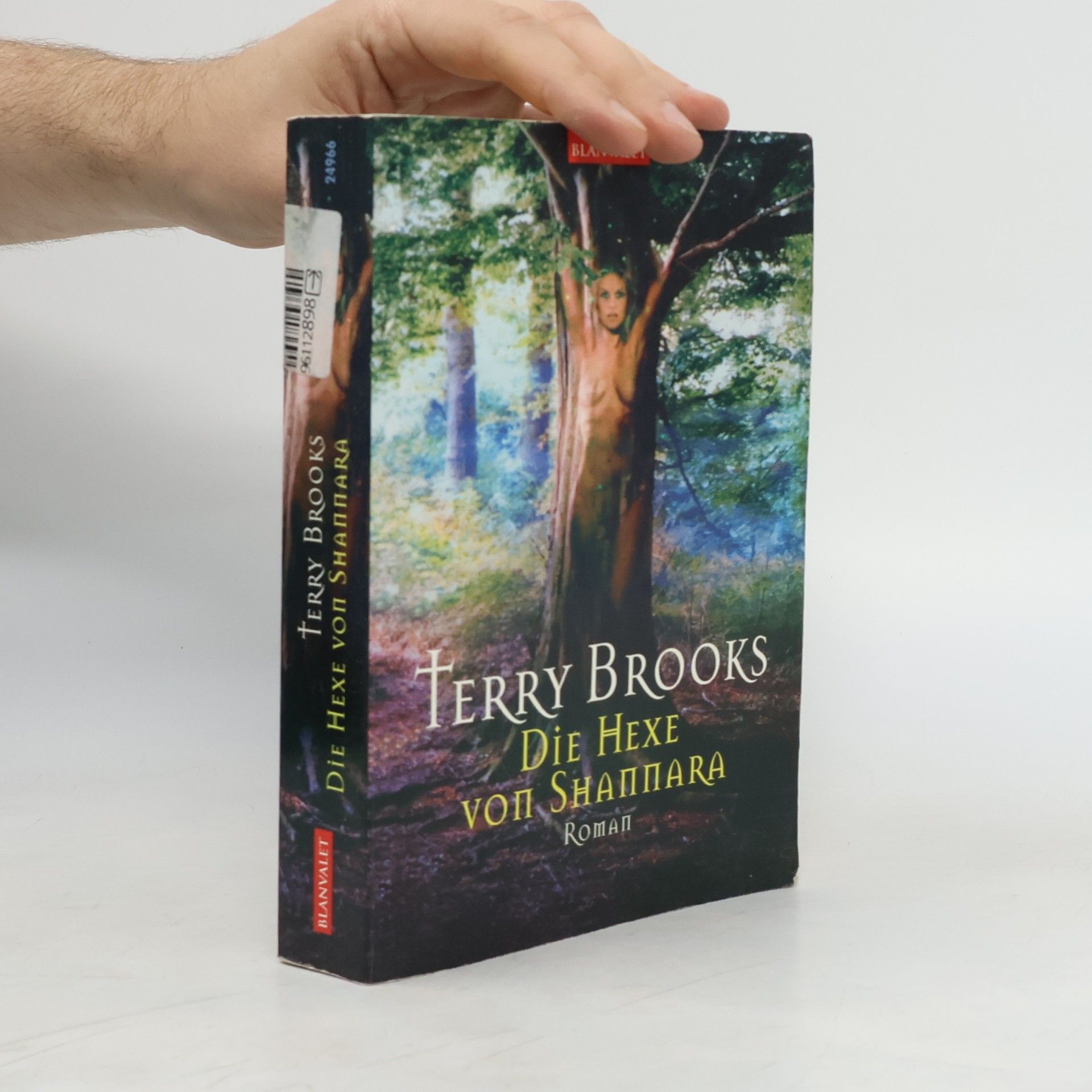 Terry Brooks Die Hexe von Shannara