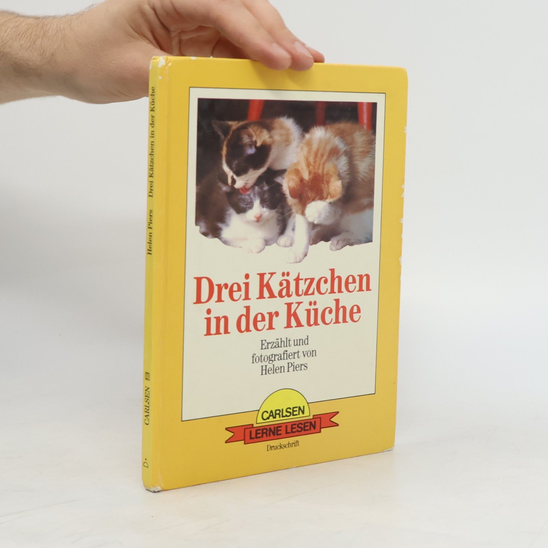 kolektiv Drei Kätzchen in der Küche