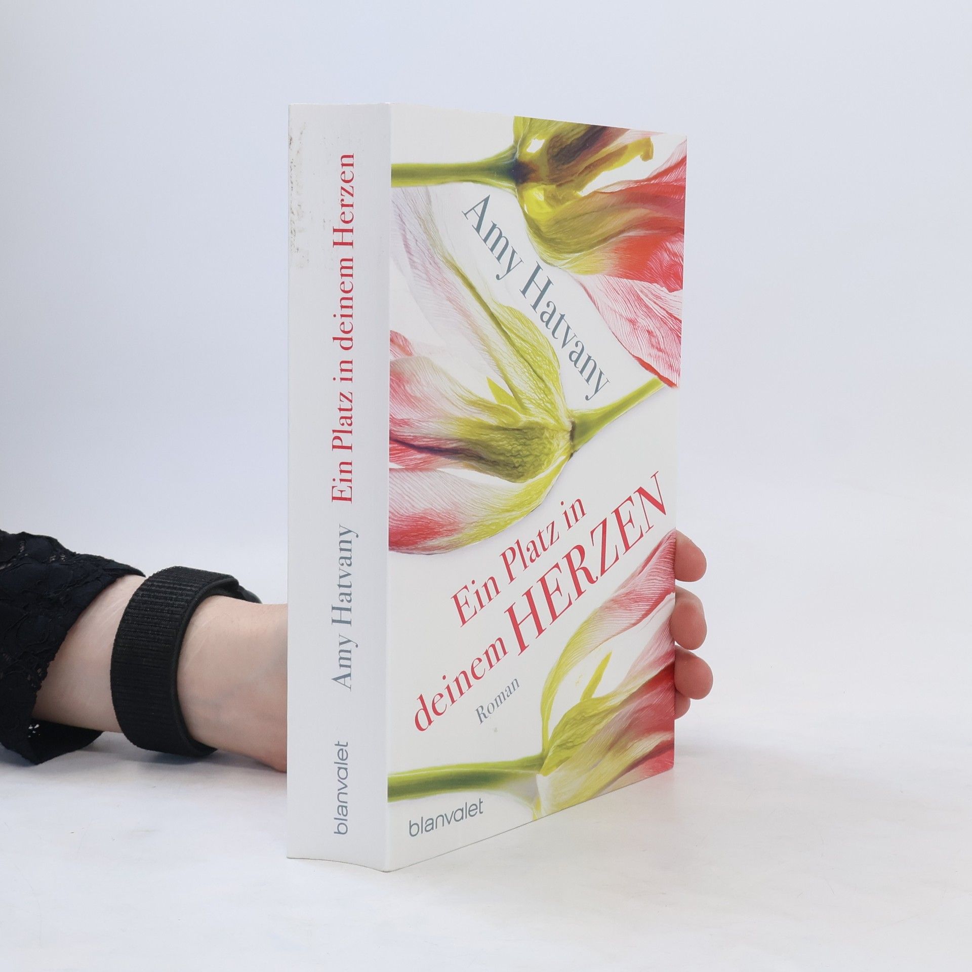 Amy Hatvany Ein Platz in deinem Herzen
