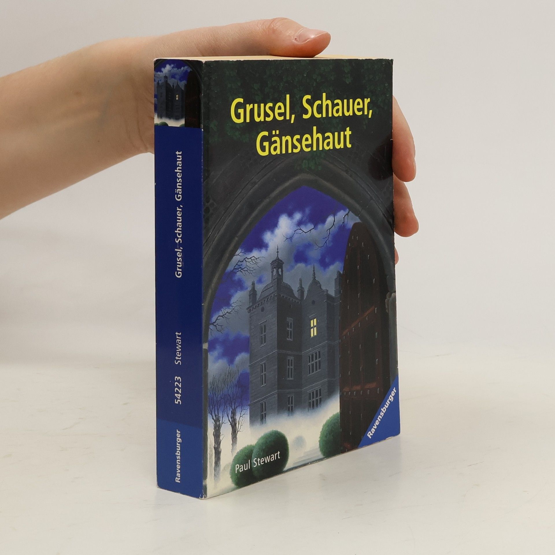 Paul Stewart Grusel, Schauer, Gänsehaut. Das böse Erwachen; Unheimliche Begegnung um Mitternacht. Zwei Gruselgeschichten in einem Band