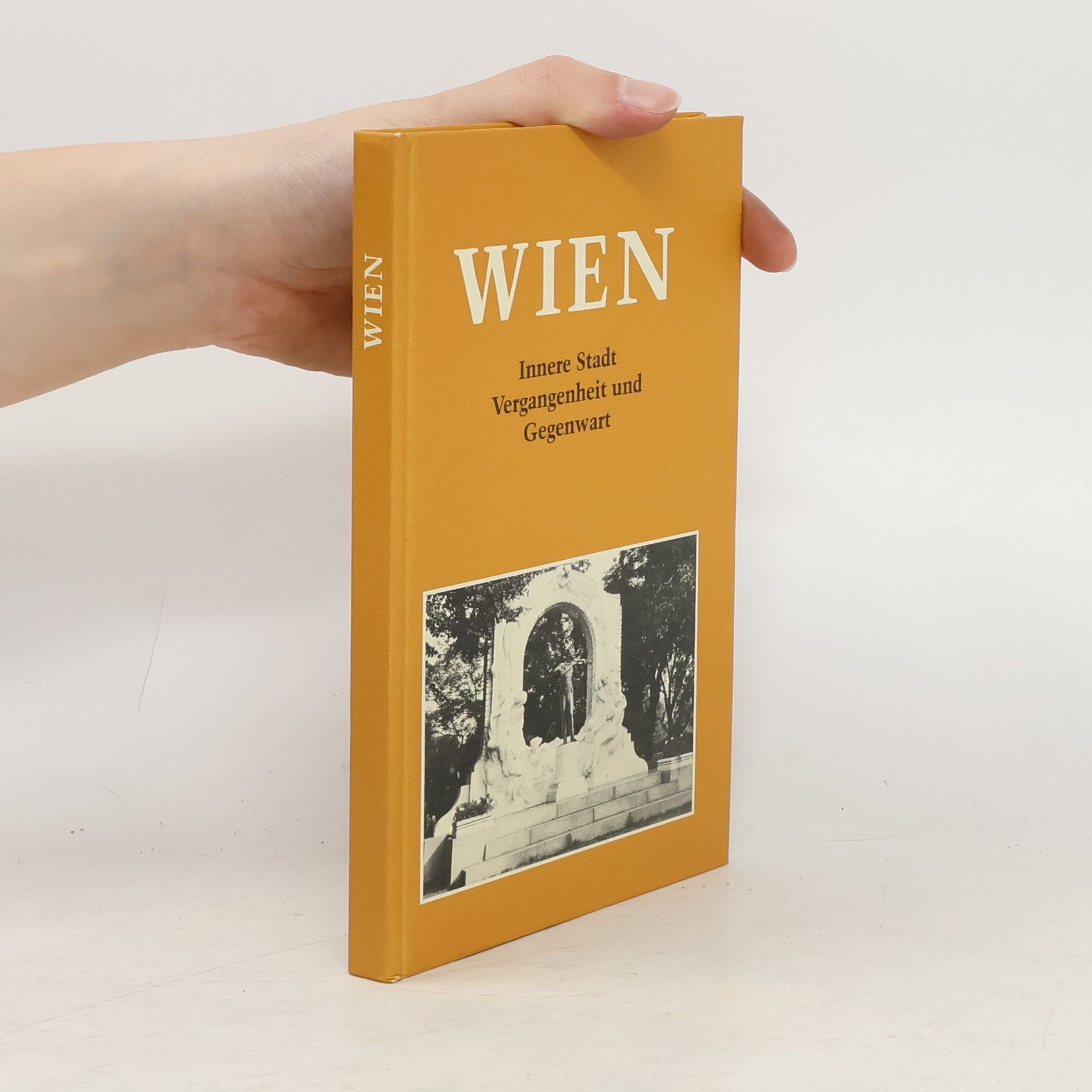 Collective Wien. Innere Stadt Vergangenheit und Gegenwart