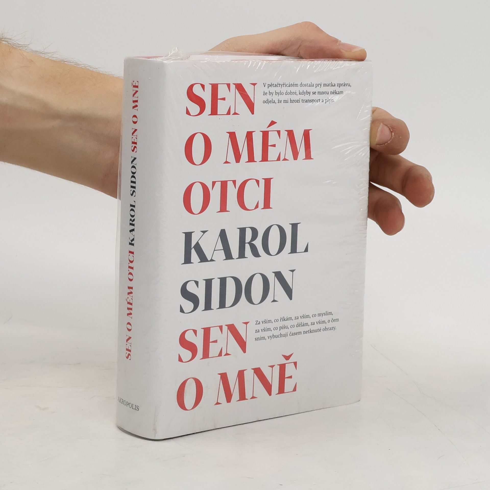 Karol Sidon Sen o mém otci. Sen o mně