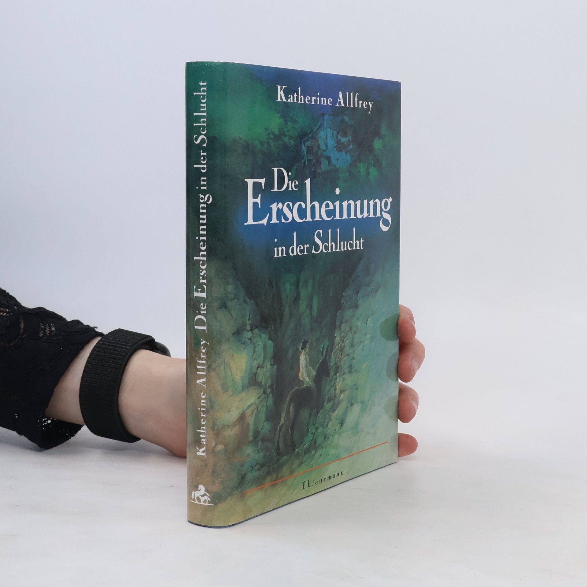 Katherine Allfrey Die Erscheinung in der Schlucht