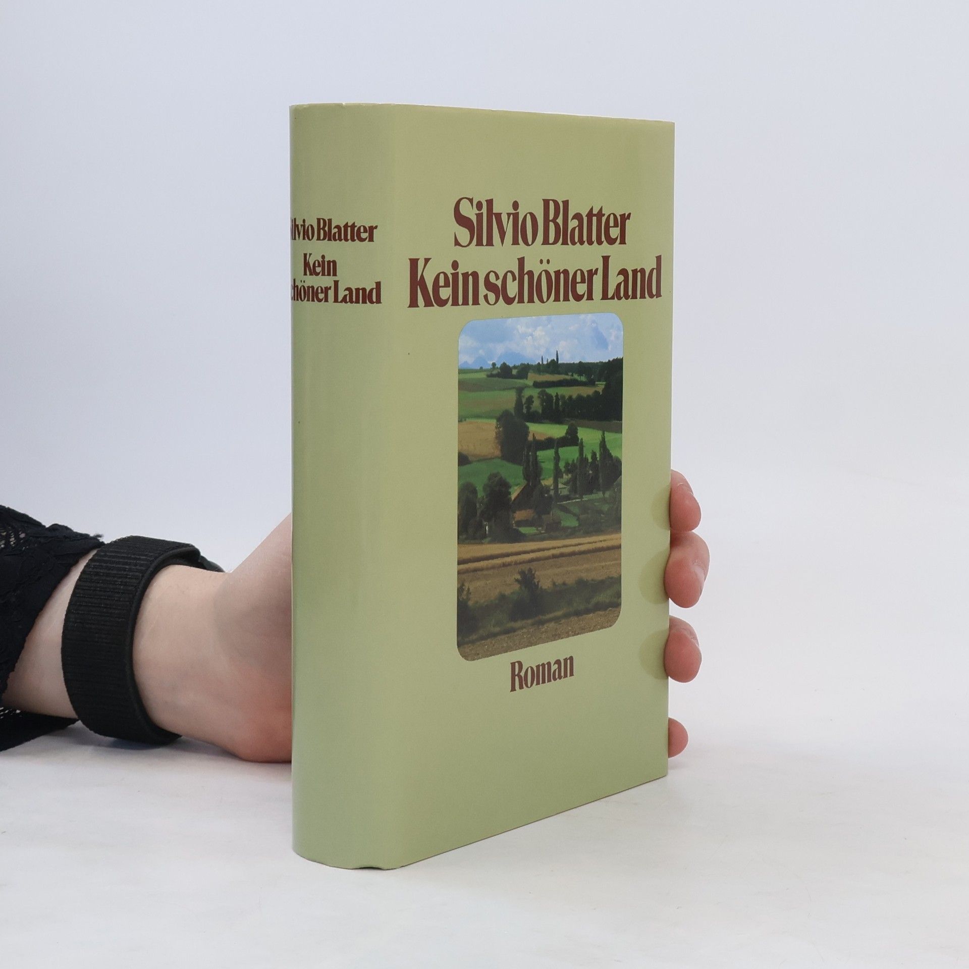 Silvio Blatter Kein schöner Land