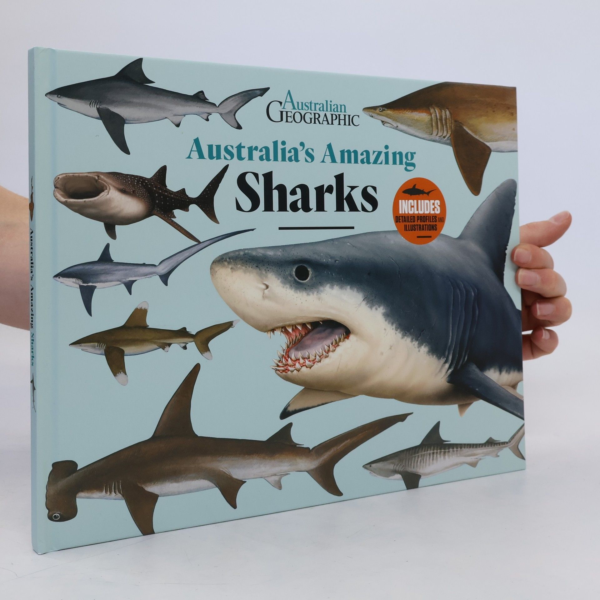 Collective Australia's Amazing Sharks