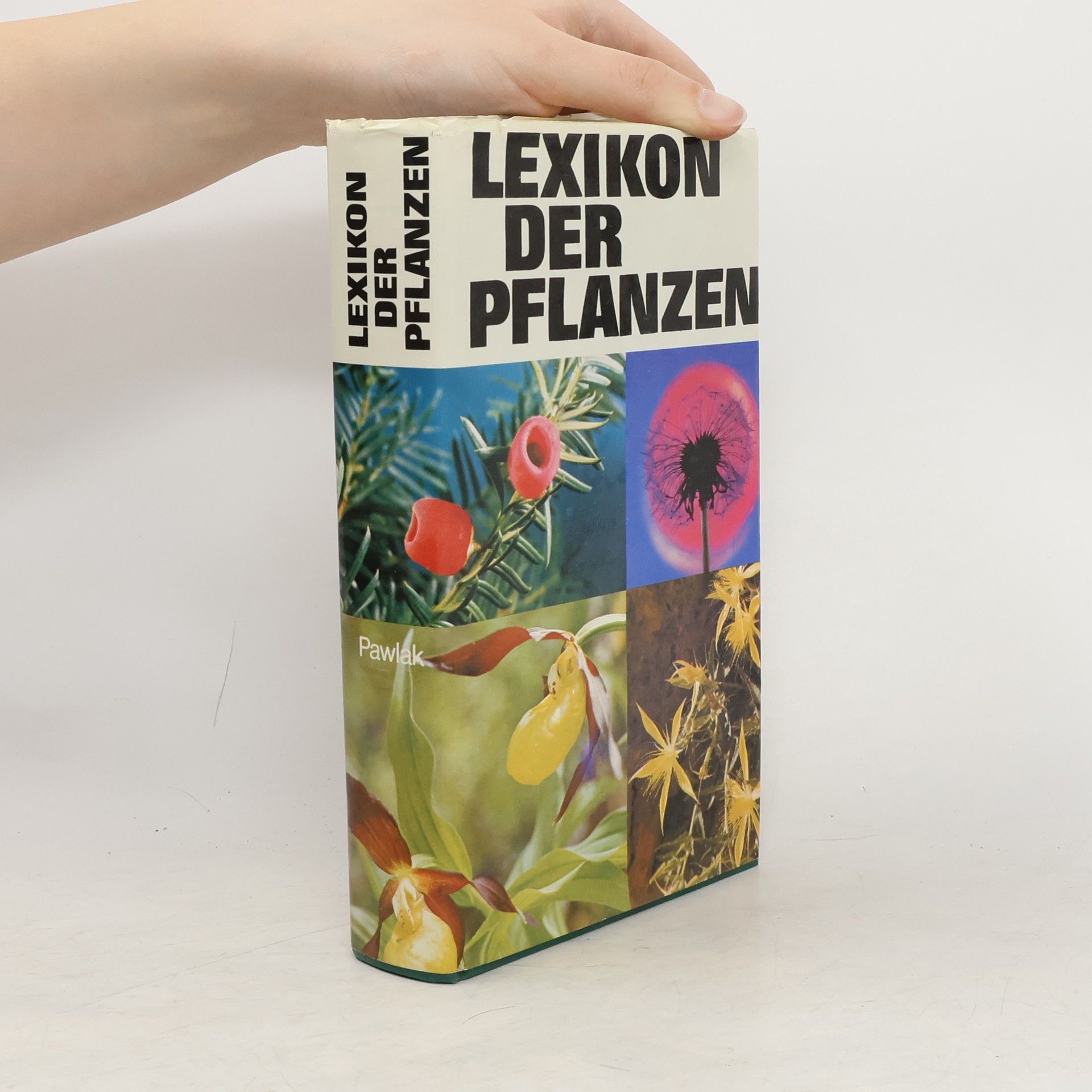 A. Schindlmayr Lexikon der Pflanzen