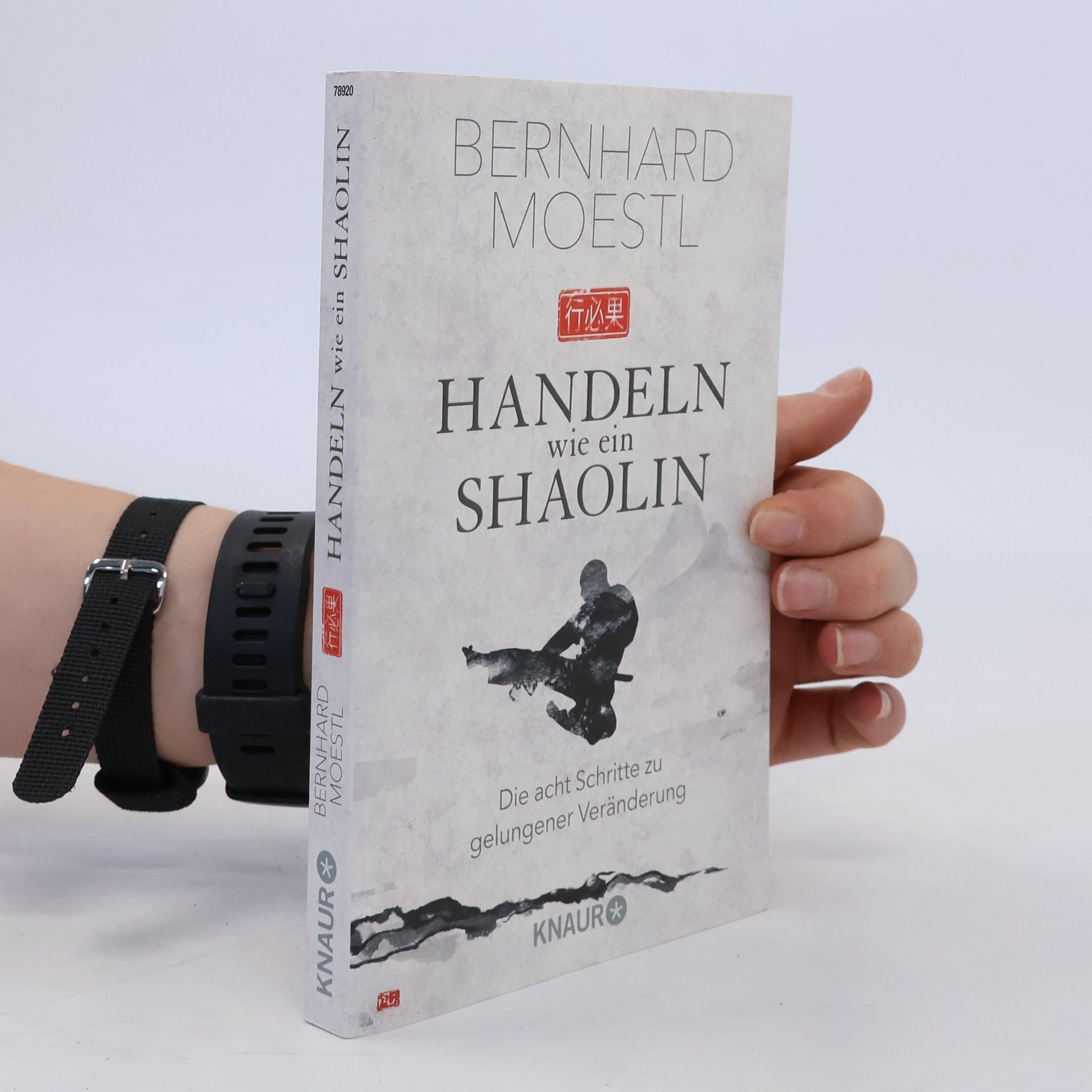 Bernhard Moestl Handeln wie ein Shaolin