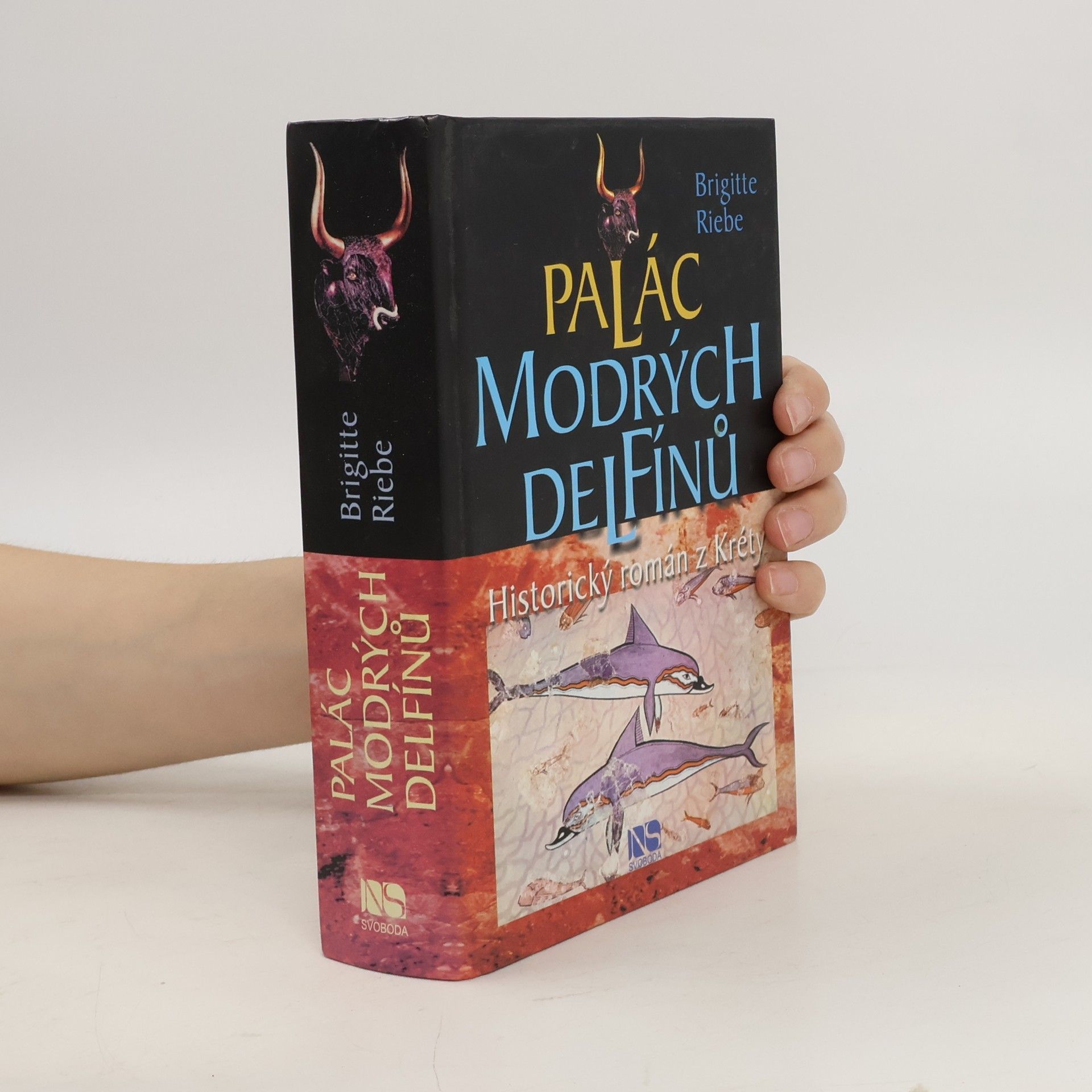 Brigitte Riebe Palác modrých delfínů