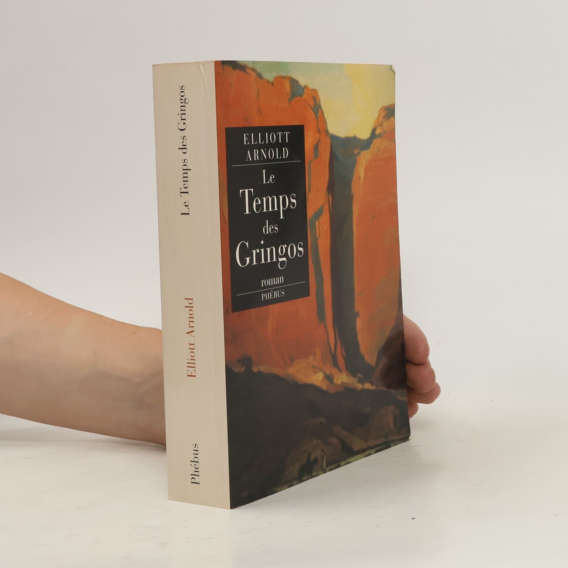 Elliott Arnold Le temps des Gringos