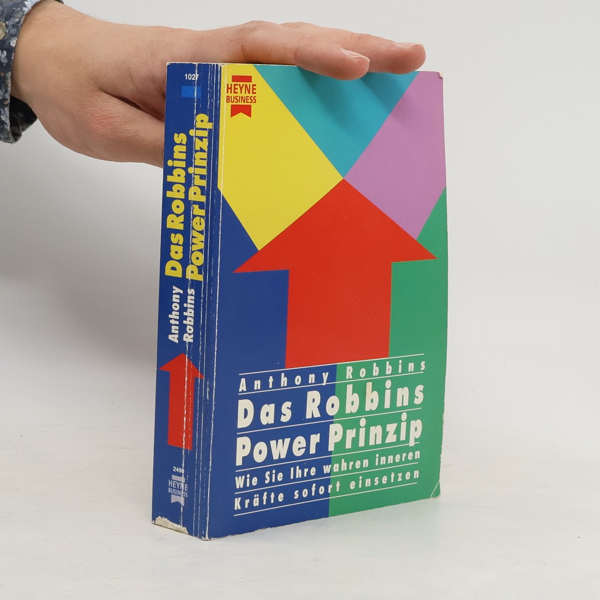 Anthony Robbins Das Robbins-Power-Prinzip