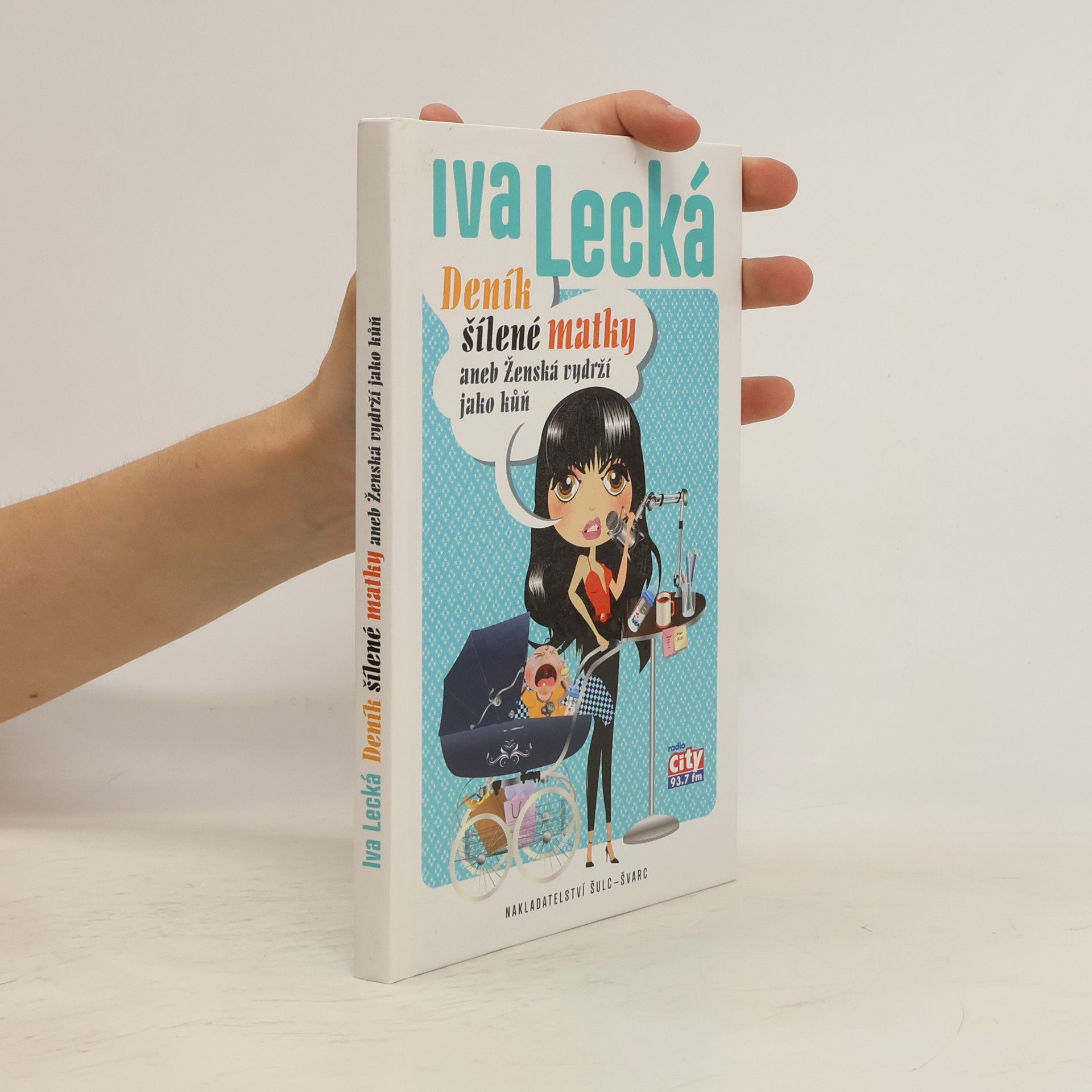 Iva Lecká Deník šílené matky