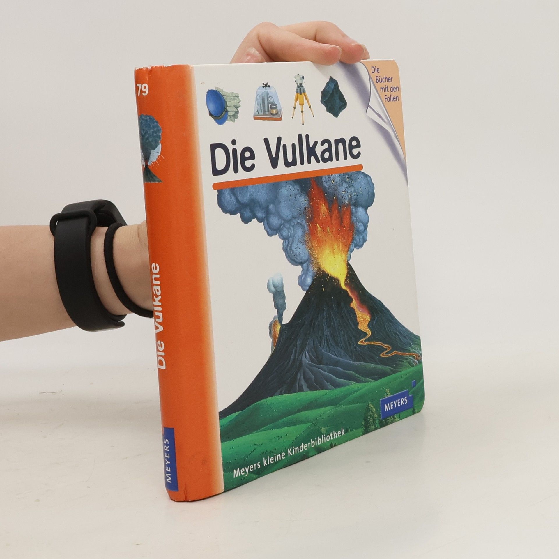 Sylvaine Peyrols Die Vulkane