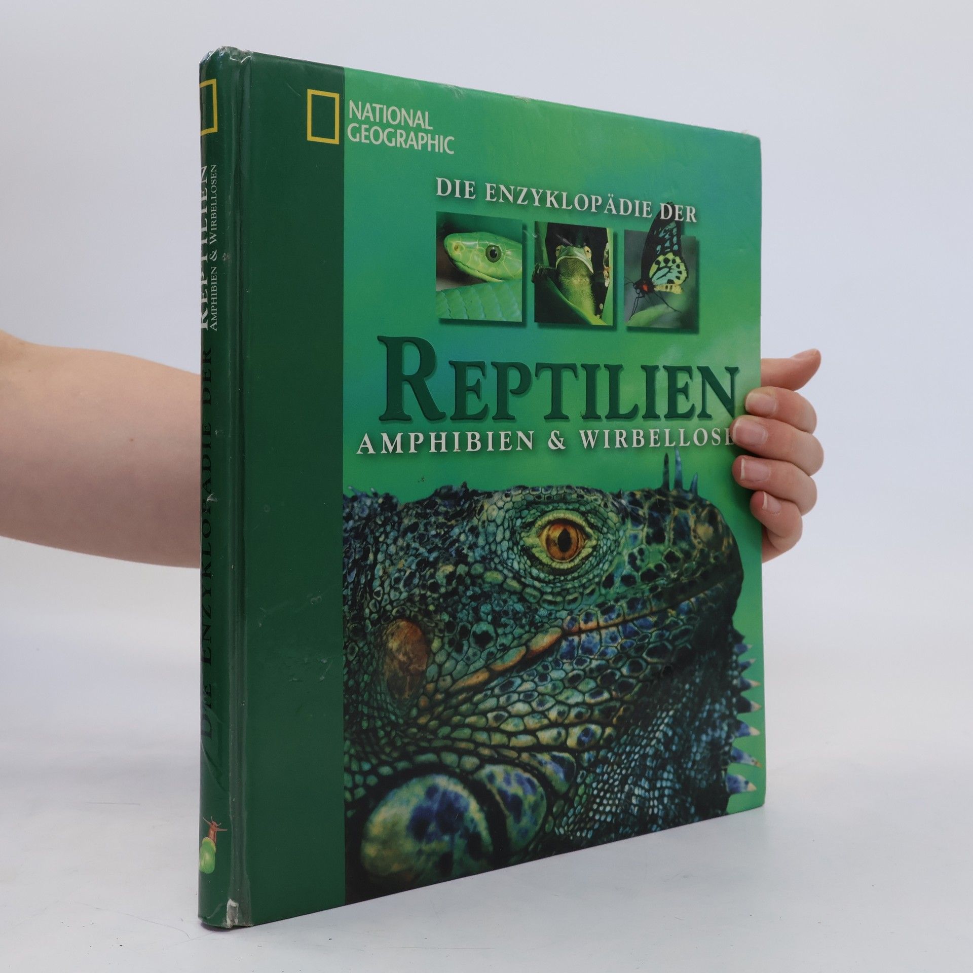 Jenni Bruce Die Enzyklopädie der Reptilien, Amphibien & Wirbellosen