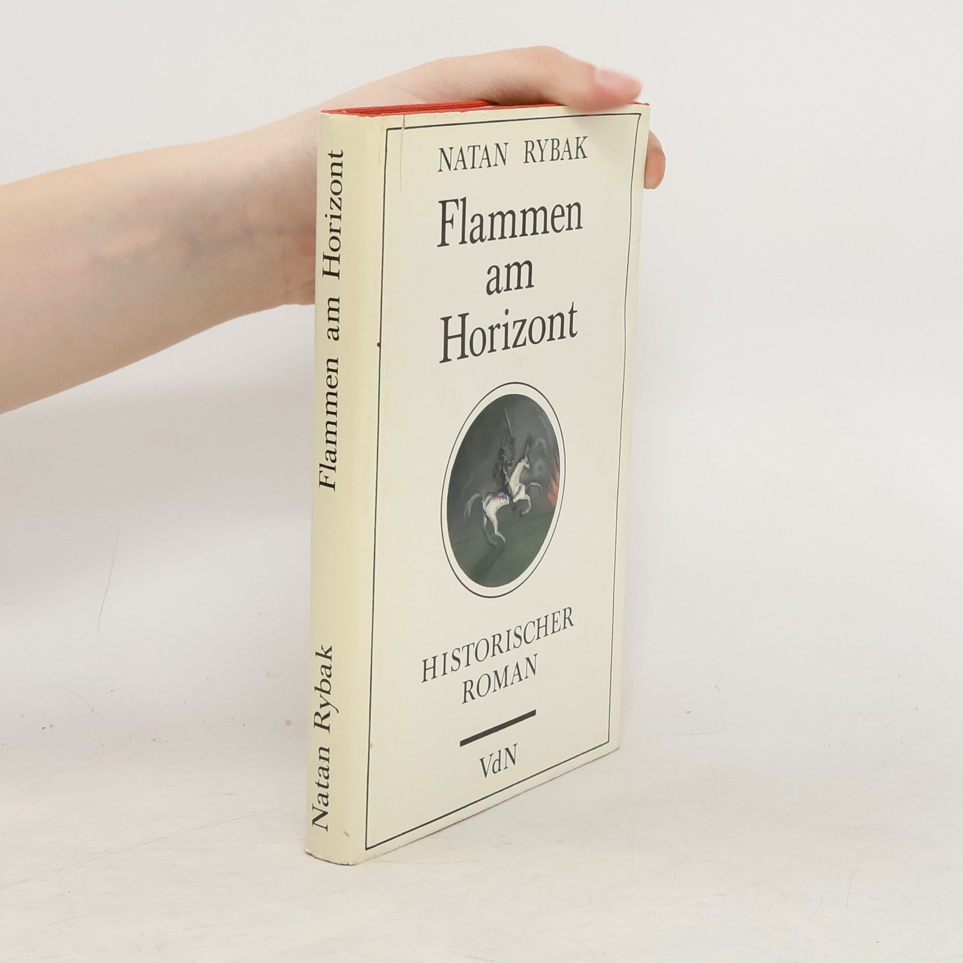 Natan Rybak Flammen am Horizont. Historischer Roman