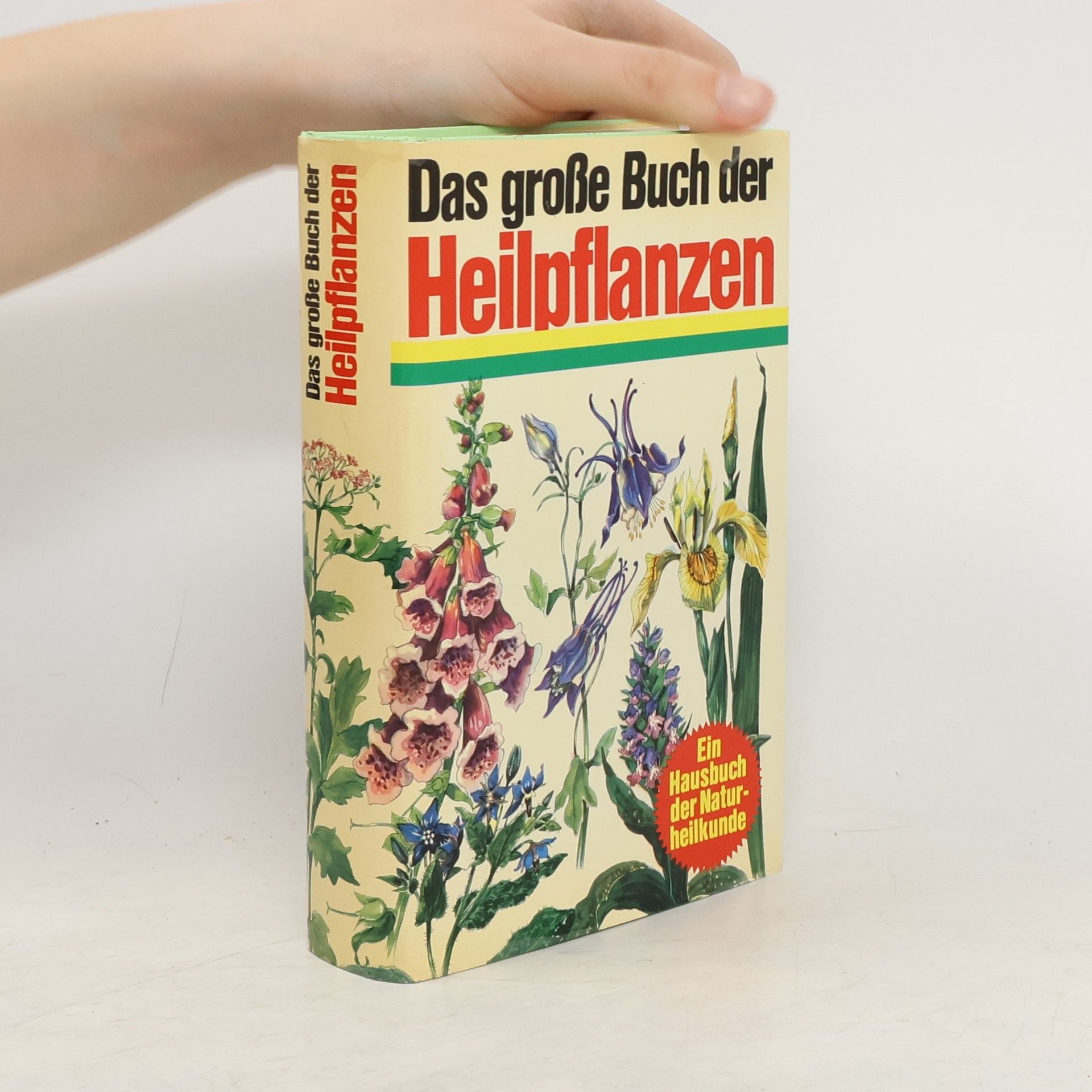 Collective Das grosse Buch der Heilpflanzen