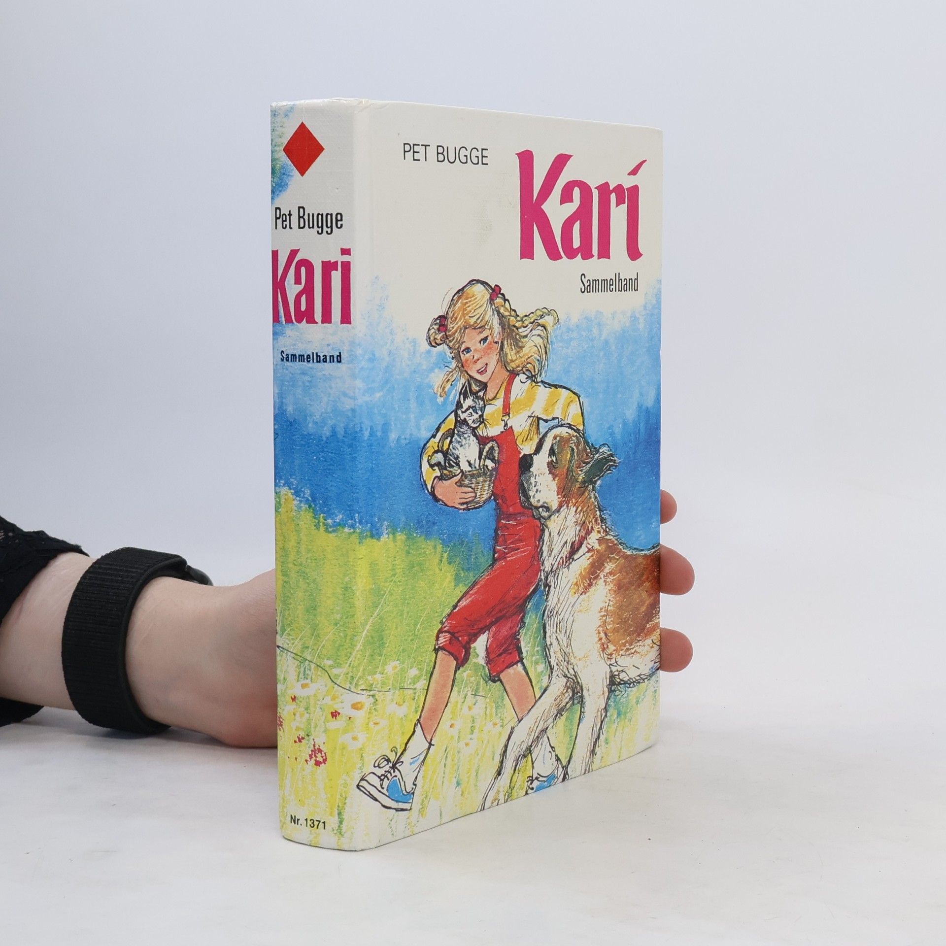 Pet Bugge Kari Sammelband