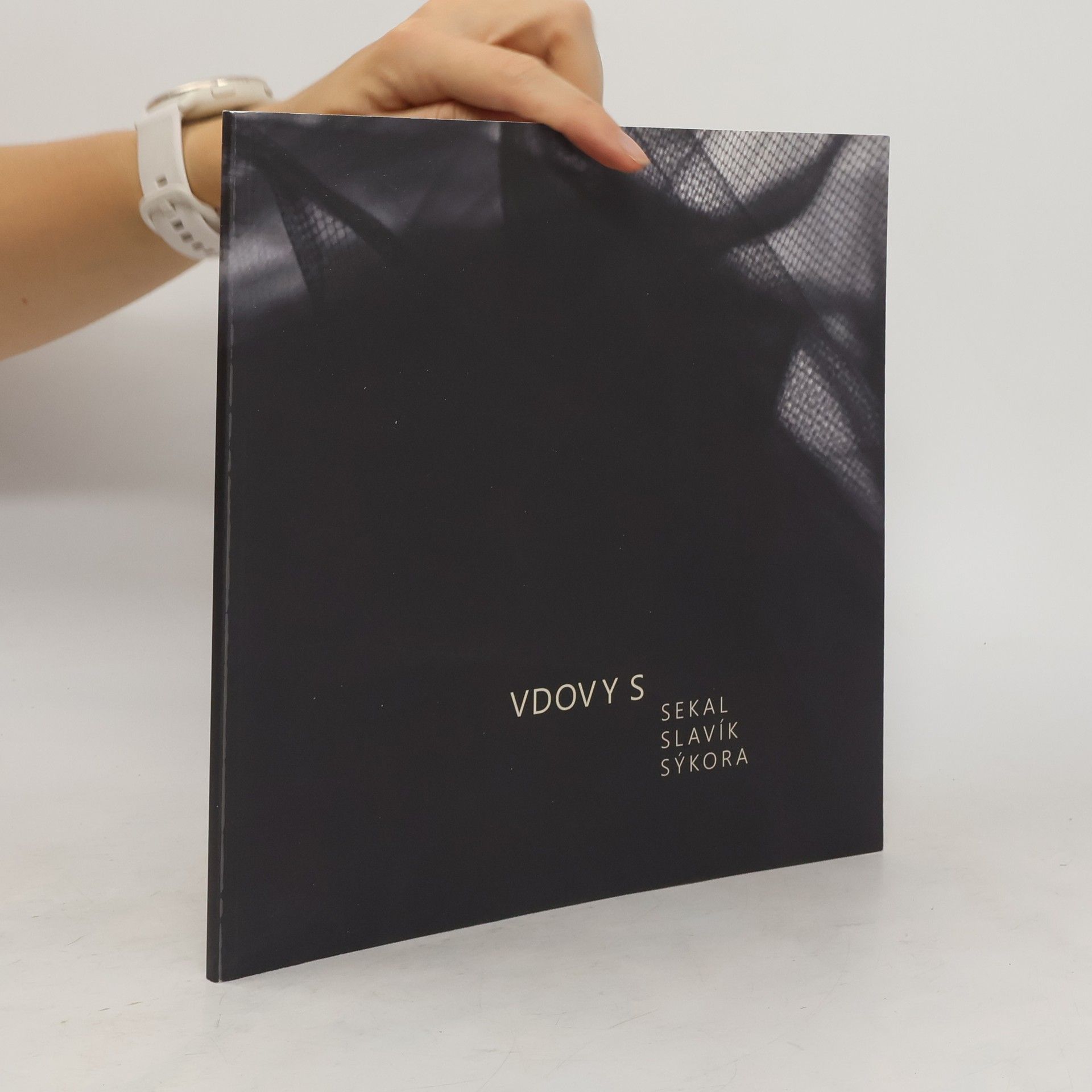 Zbyněk Sekal Vdovy S: Sekal, Slavík, Sýkora : Galerie moderního umění v Roudnici nad Labem