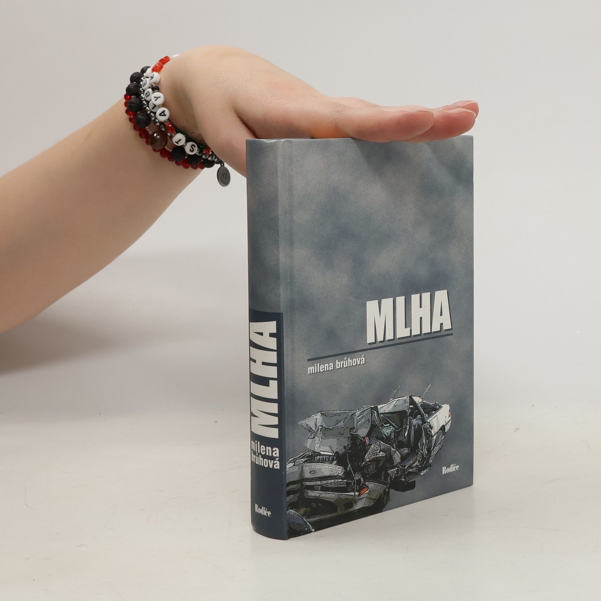 Brůhová Milena Mlha