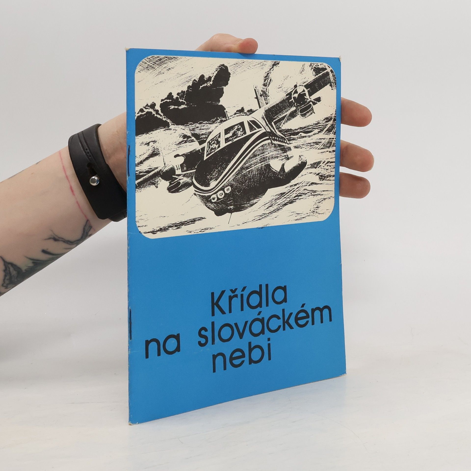 Jan Krumbach Křídla na slováckém nebi