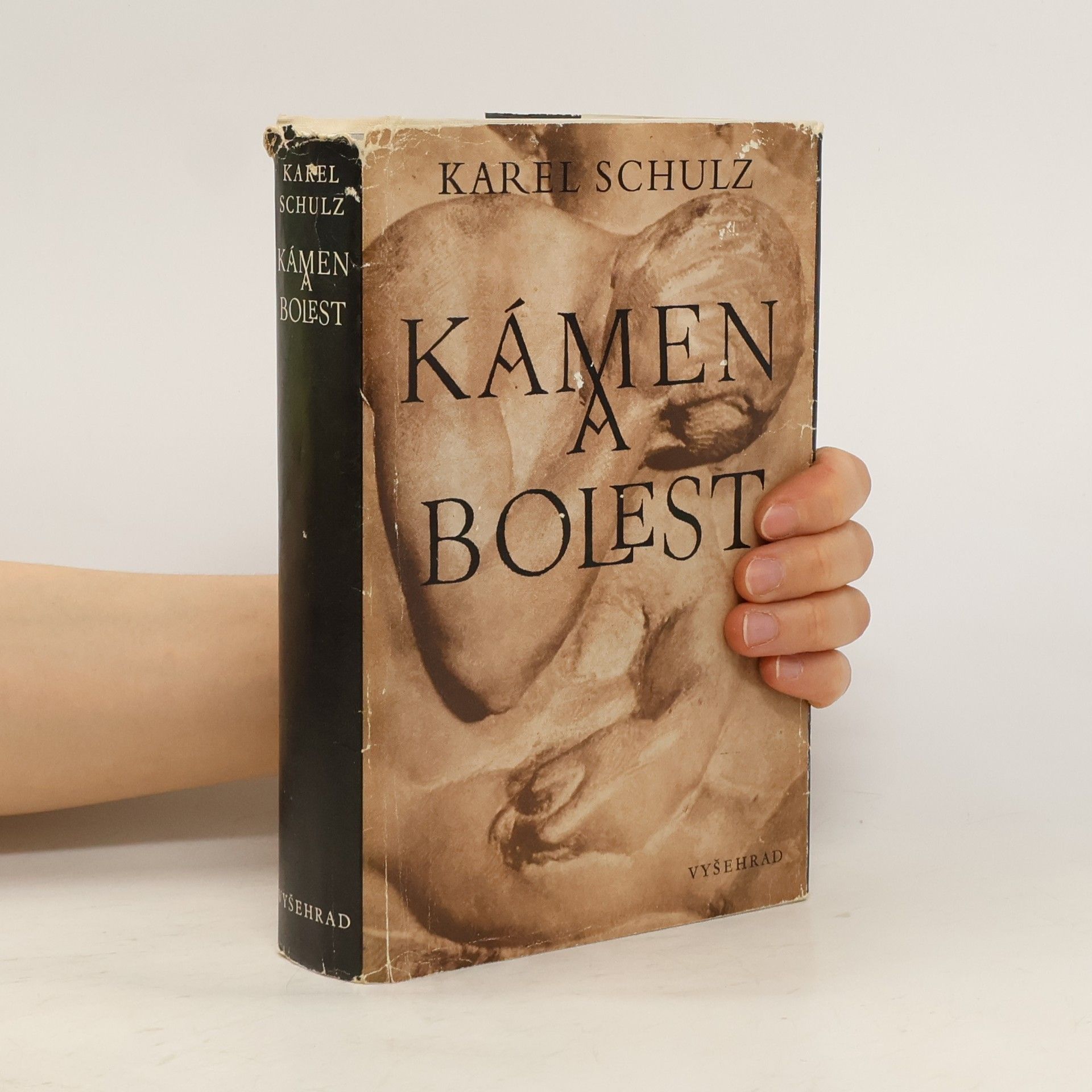 Karel Schulz Kámen a bolest